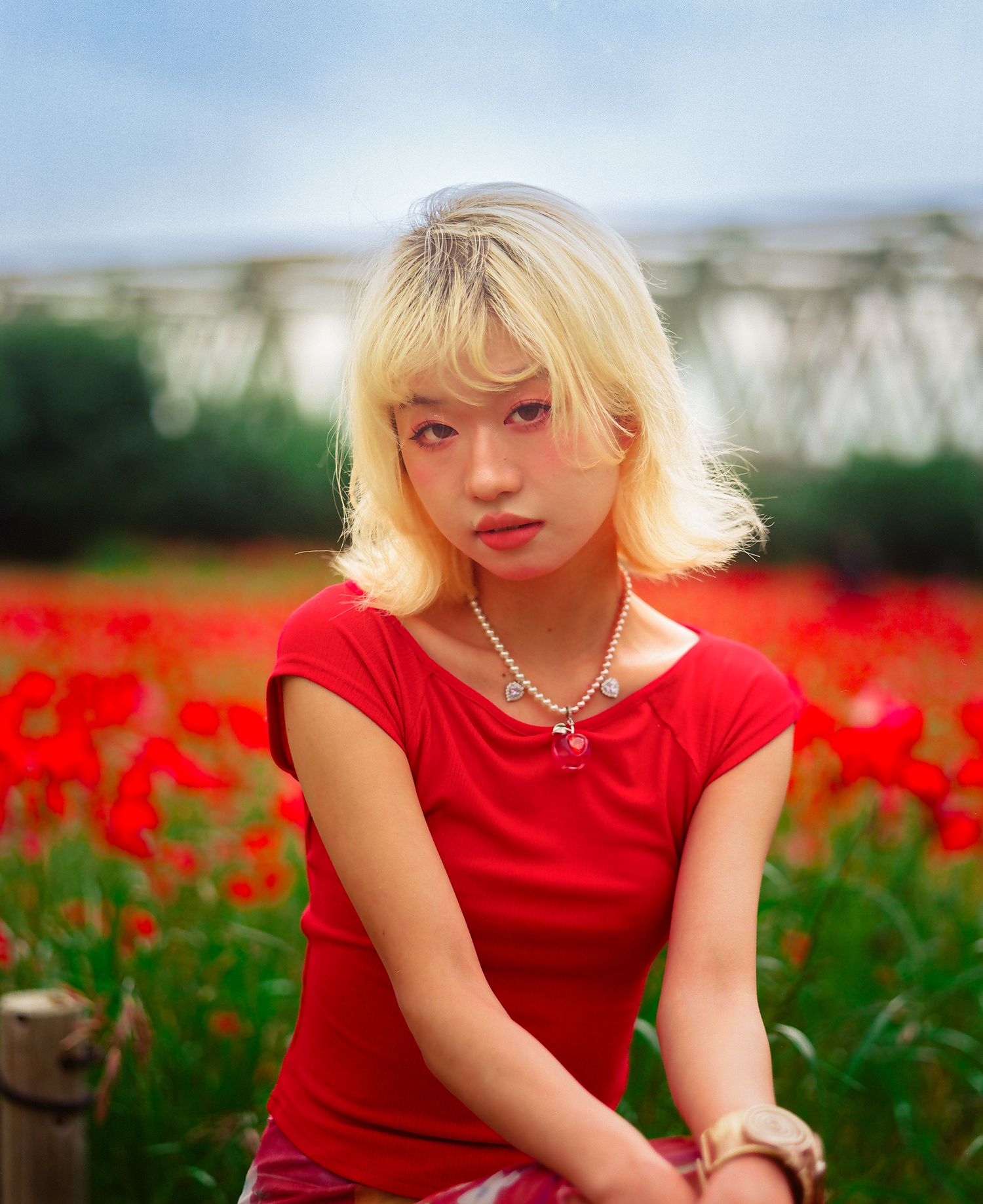 Person in red dress poses among vibrant red flower field.