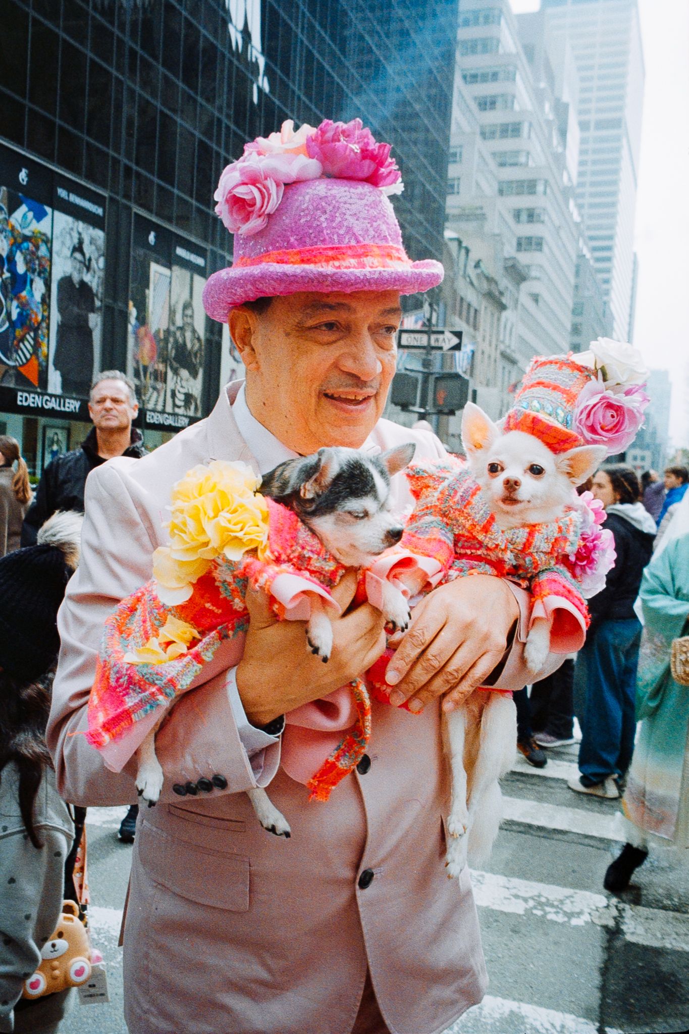 Elderly man in pink floral hat holds two dressed-up small dogs at a festive Easter parade on a city street.