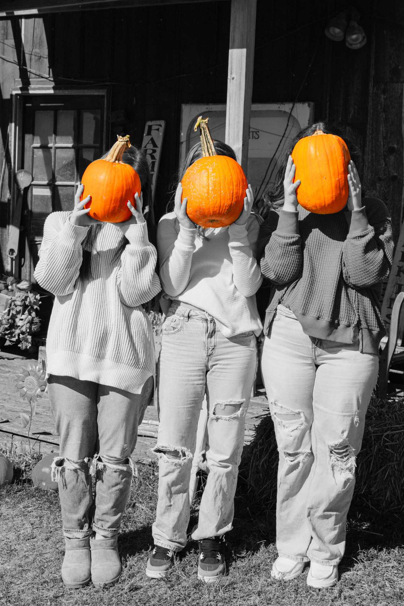 Three girls holding pumpkins, photo taken by Kaelan Knudtson by FlicksByKaelanK.