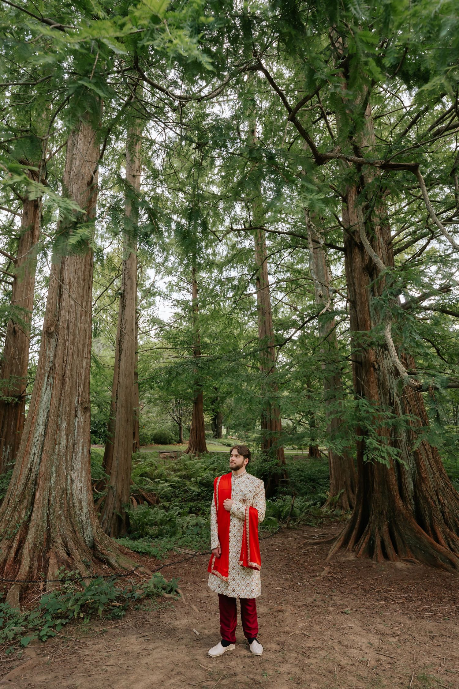 Indian groom in embroidered sherwani standing among towering trees in a lush forest setting.