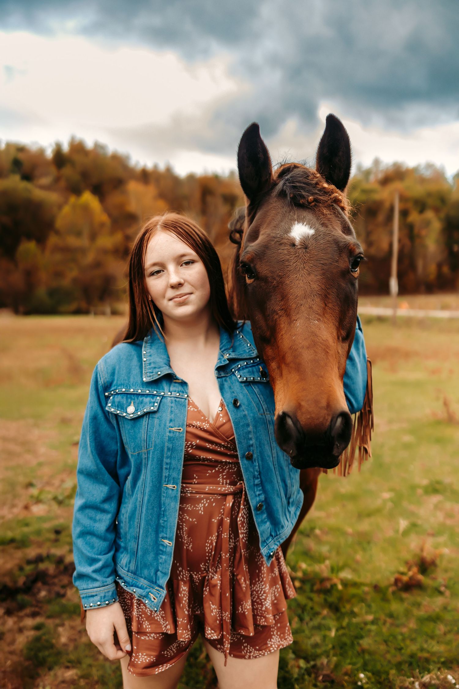 horse