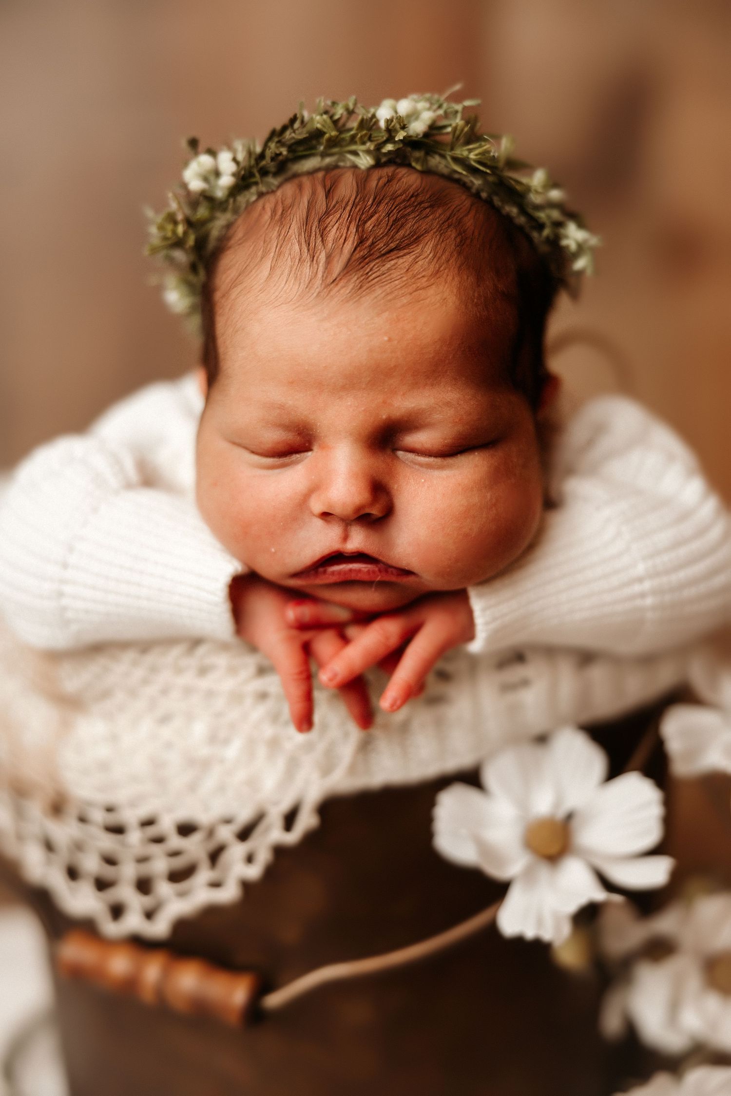Newborn