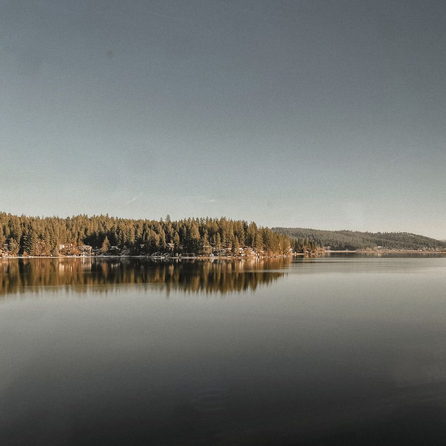 A serene panoramic view of a misty lake surrounded by evergreen forest on the shoreline during a calm morning.