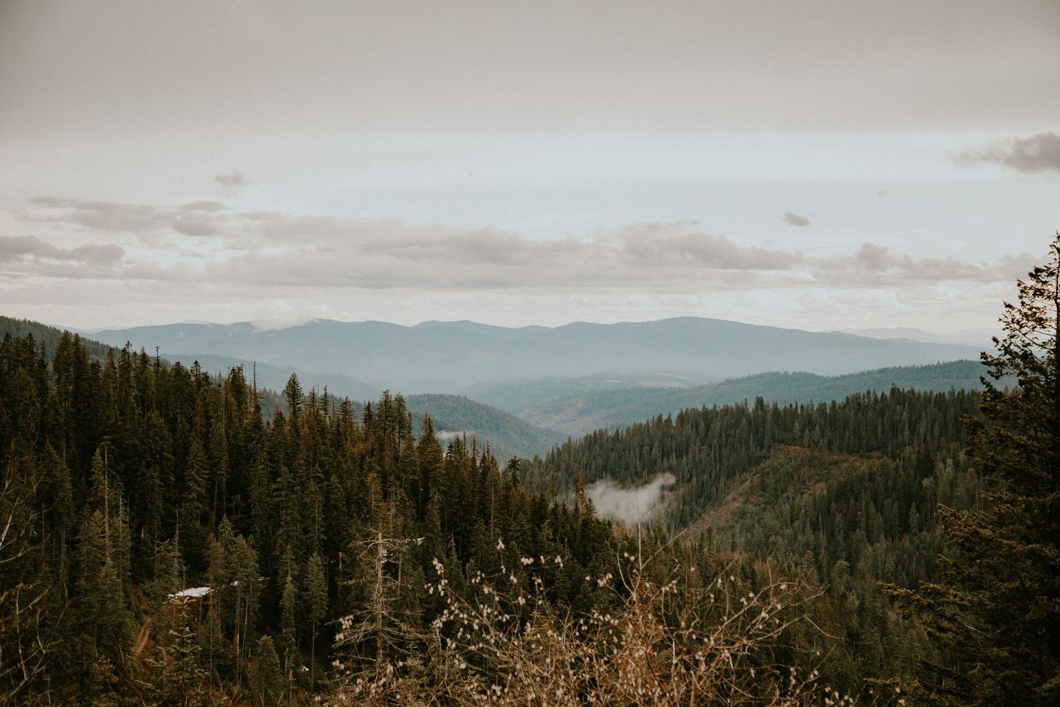 Dense evergreen forest covers rolling mountain slopes under a cloudy sky with misty valleys in the distance.