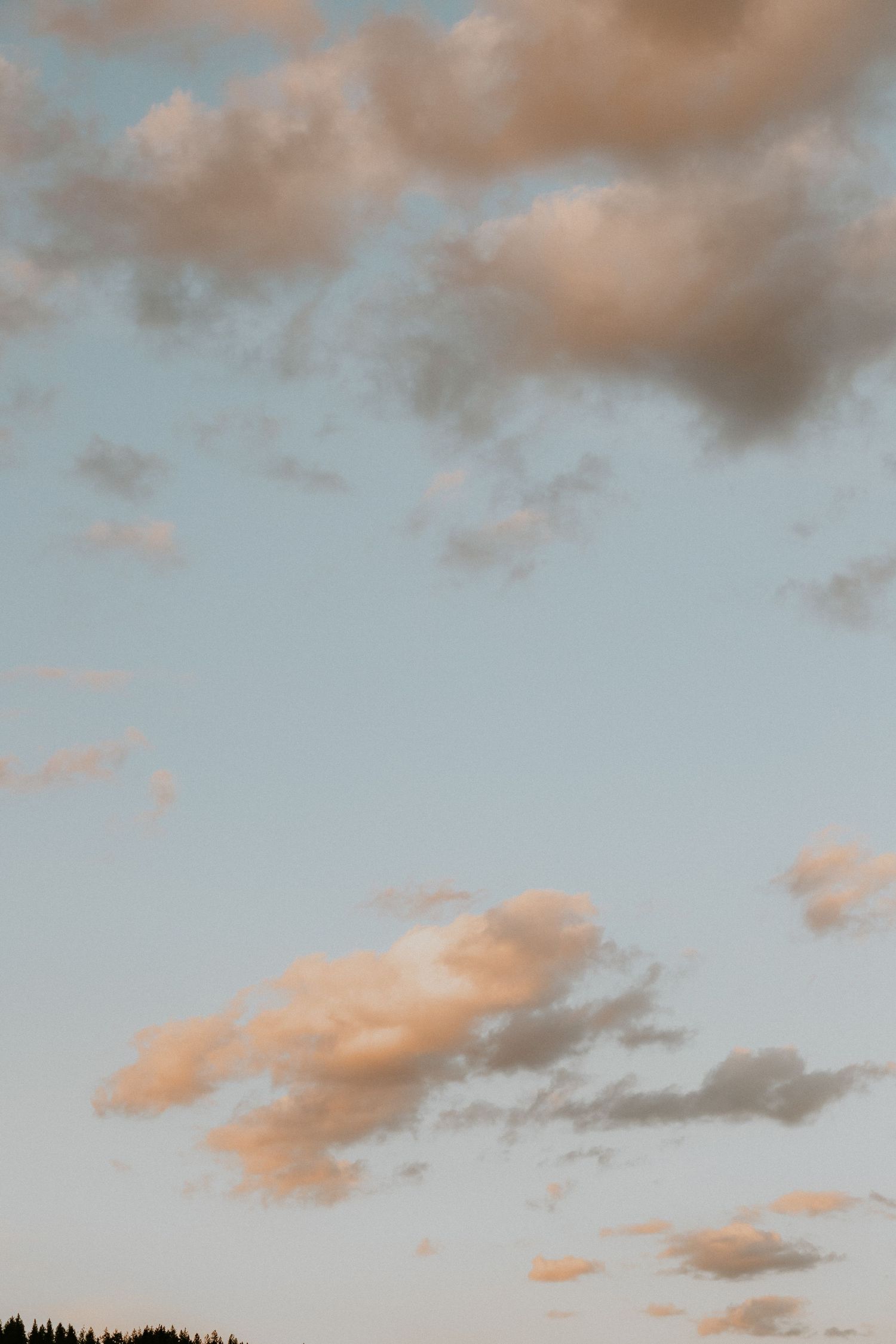 Soft pink and gray clouds drift across a pale blue sky at dusk with dark silhouetted treeline at bottom.