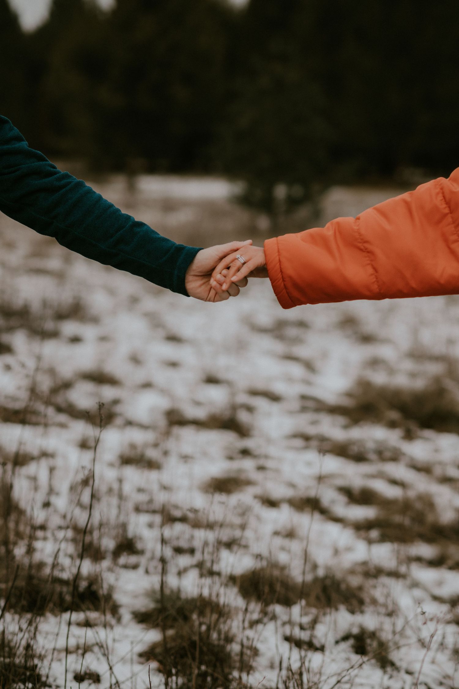 Two people hold hands while walking through a snowy winter landscape with dried grass poking through the snow.