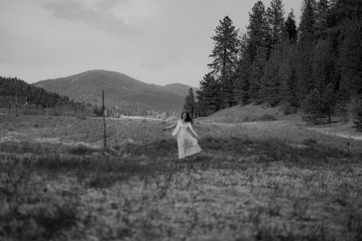 A black and white landscape photo shows a figure in white standing in a meadow with evergreen forests and mountains beyond.