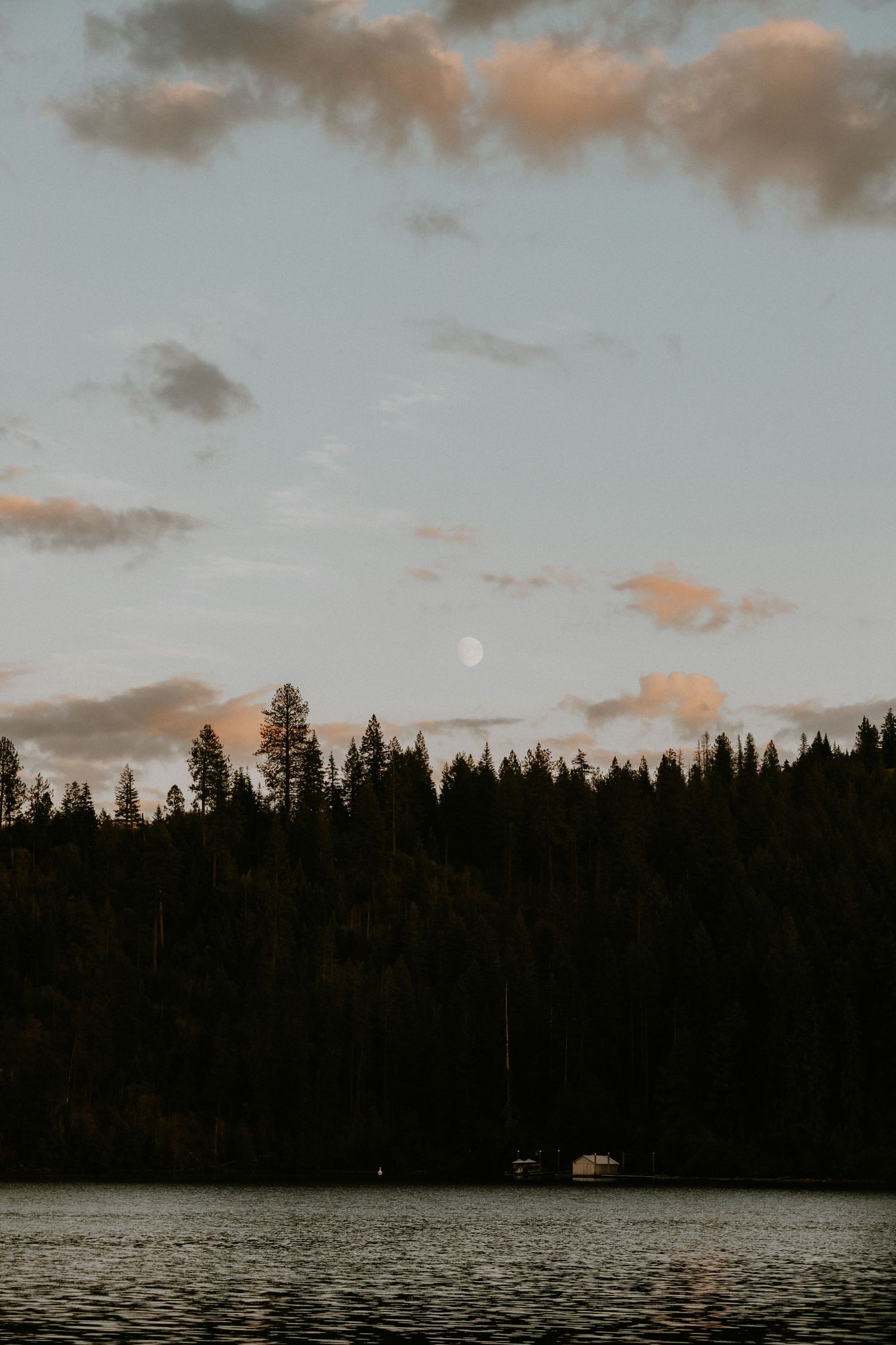 A serene lake at dusk with silhouetted pine trees along the shoreline and a moody cloudy sky above.