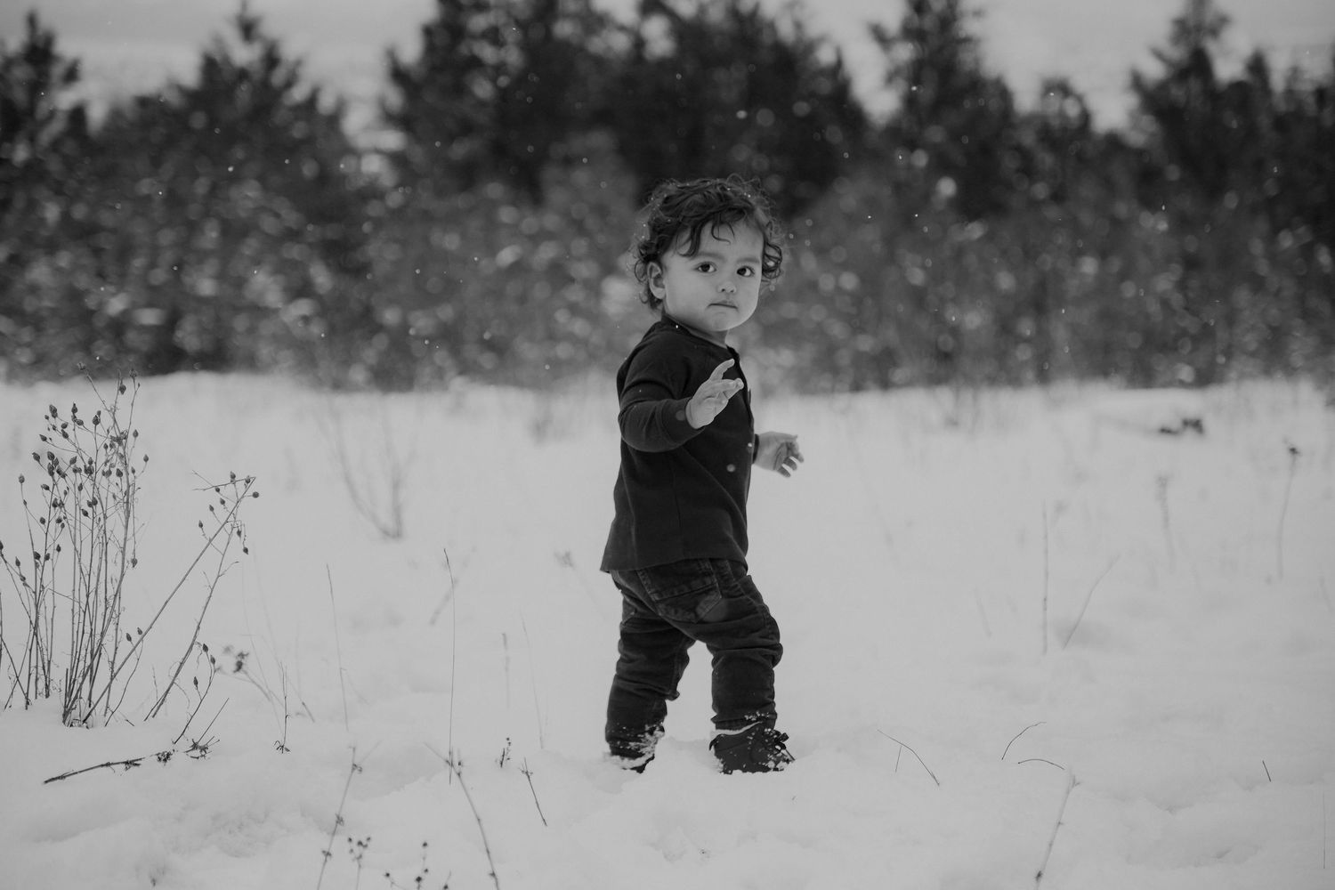 A snowy wintertime scene shows footprints leading through pristine white powder near evergreen trees in the background.