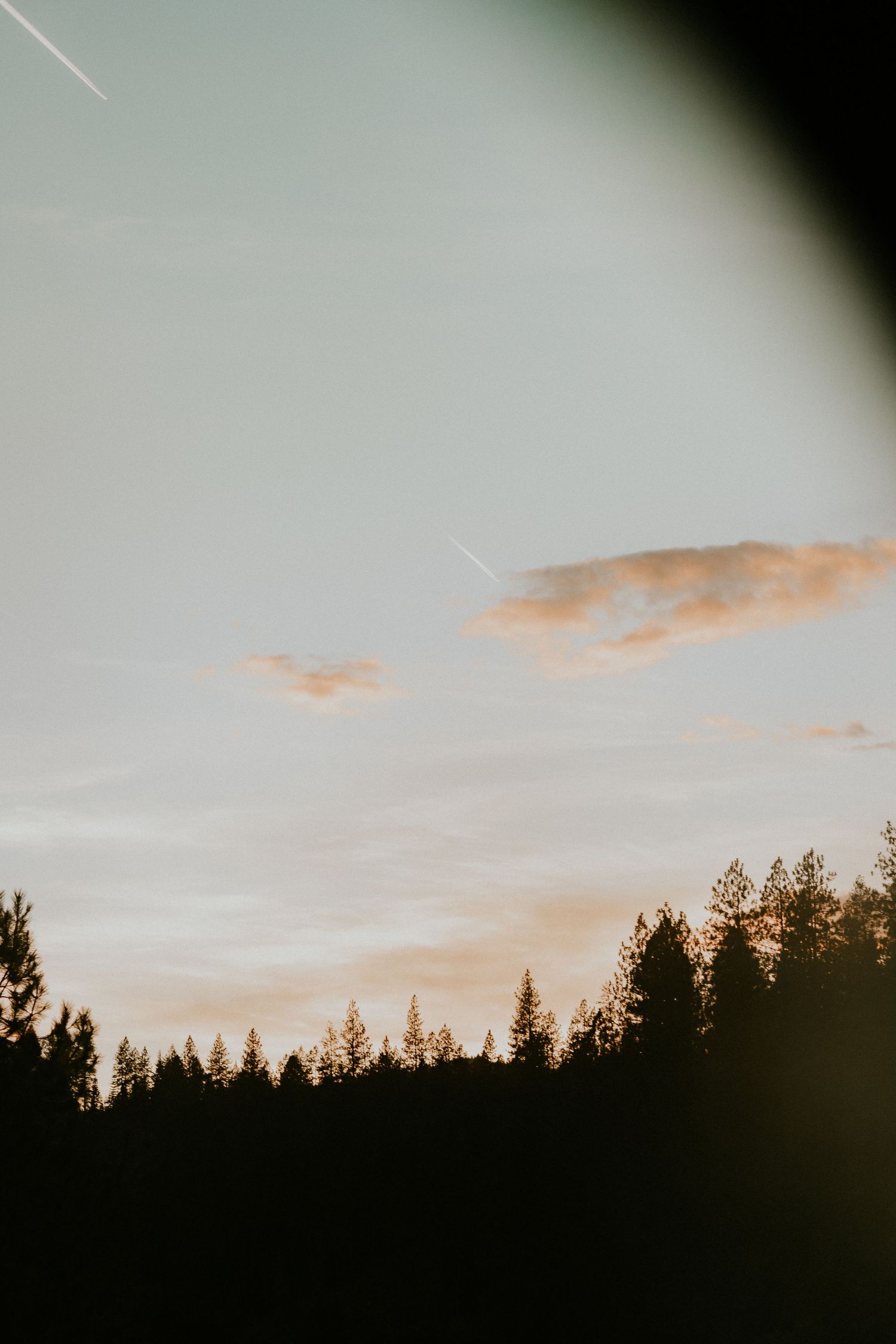 Silhouetted evergreen trees line the horizon against a soft sunset sky with wispy pink clouds.