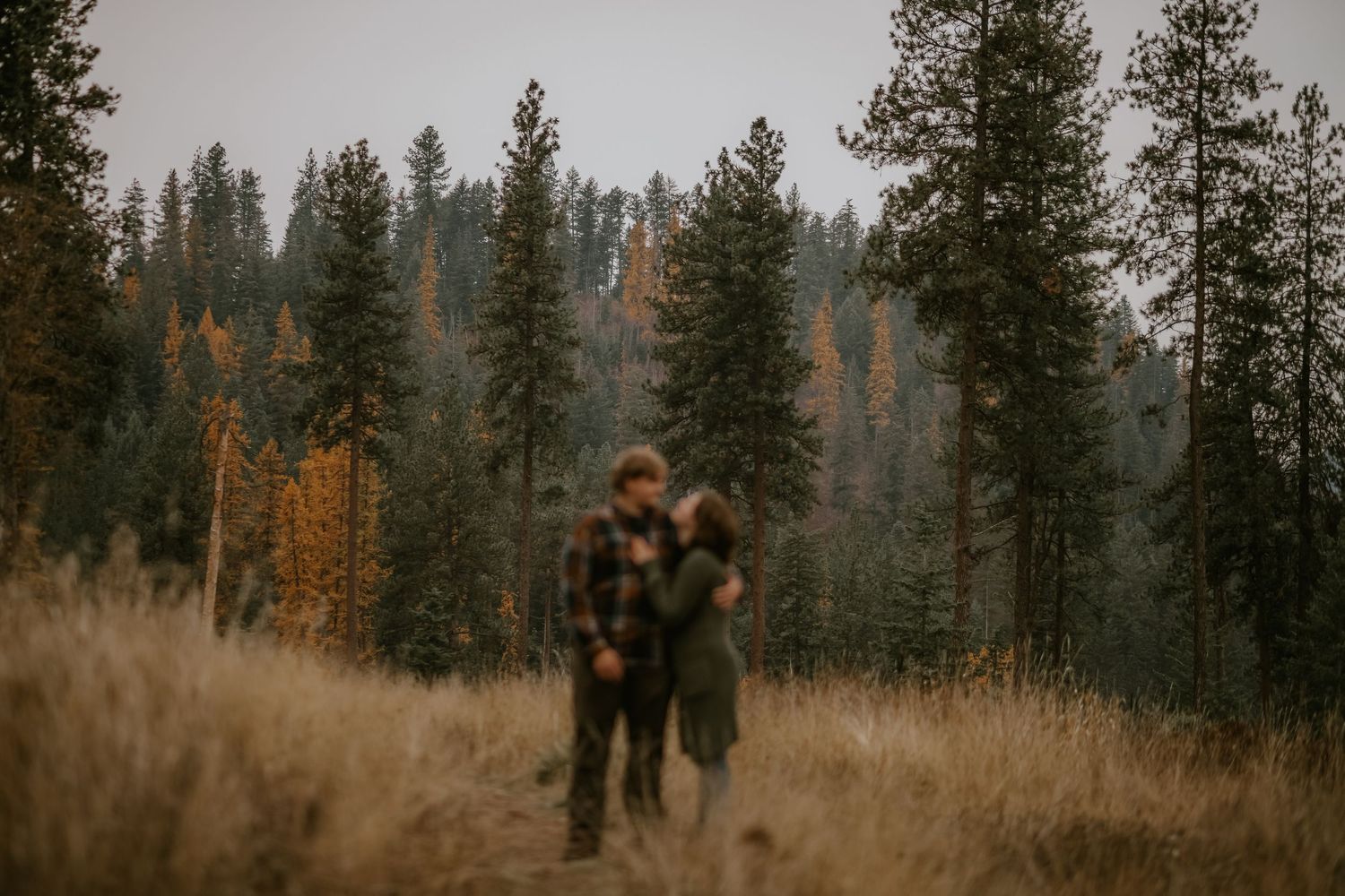 A couple embraces in a misty meadow surrounded by tall evergreen trees and autumn foliage in the mountains.