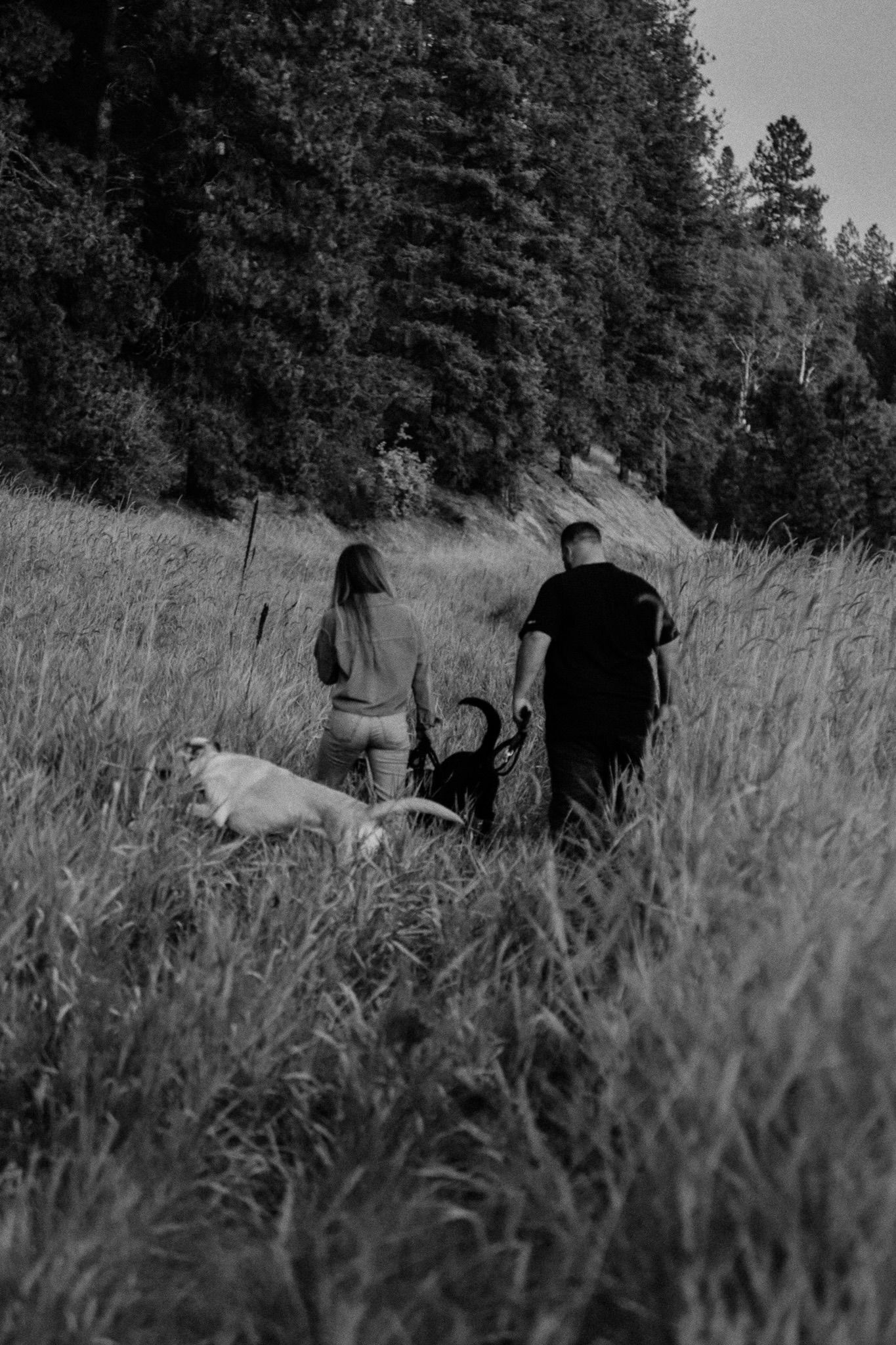 A black and white photo of people walking through tall grass with a white dog near a wooded hillside.
