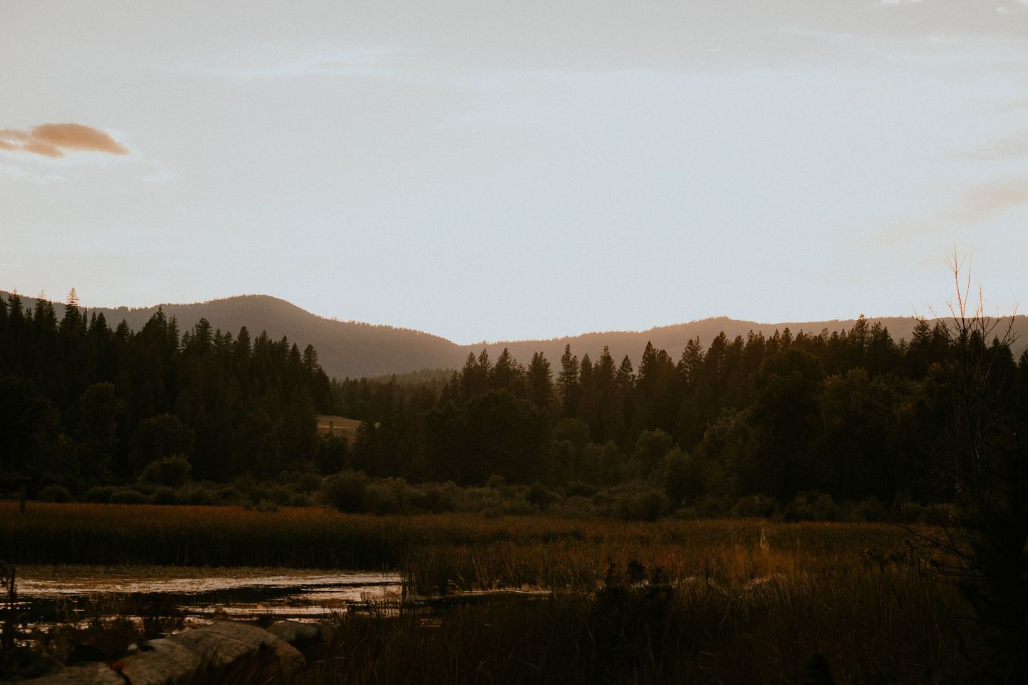 A scenic mountain landscape at sunset with silhouetted trees and rolling hills in warm sepia tones.