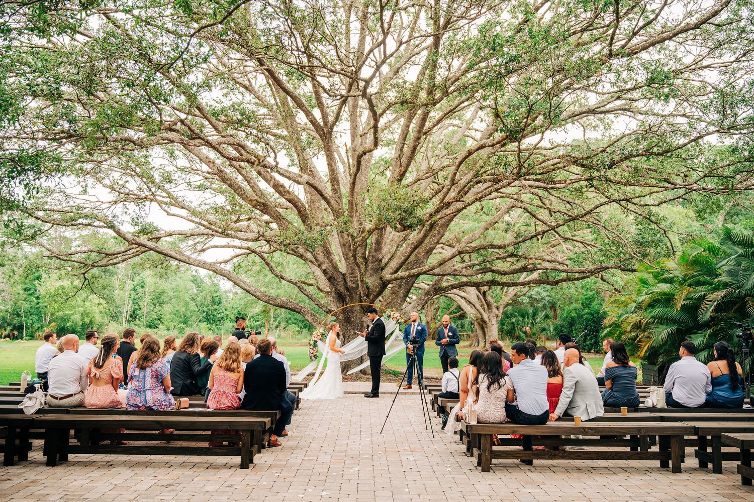 Outdoor wedding ceremony under a large tree with guests seated on wooden benches in a lush garden setting.