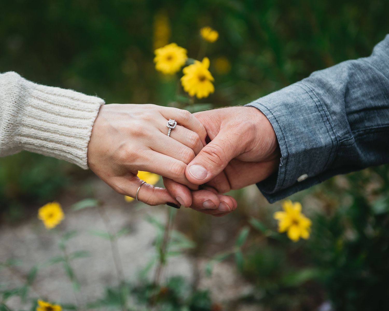Couple holding hands with engagement ring on woman's finger, yellow wildflowers in background.