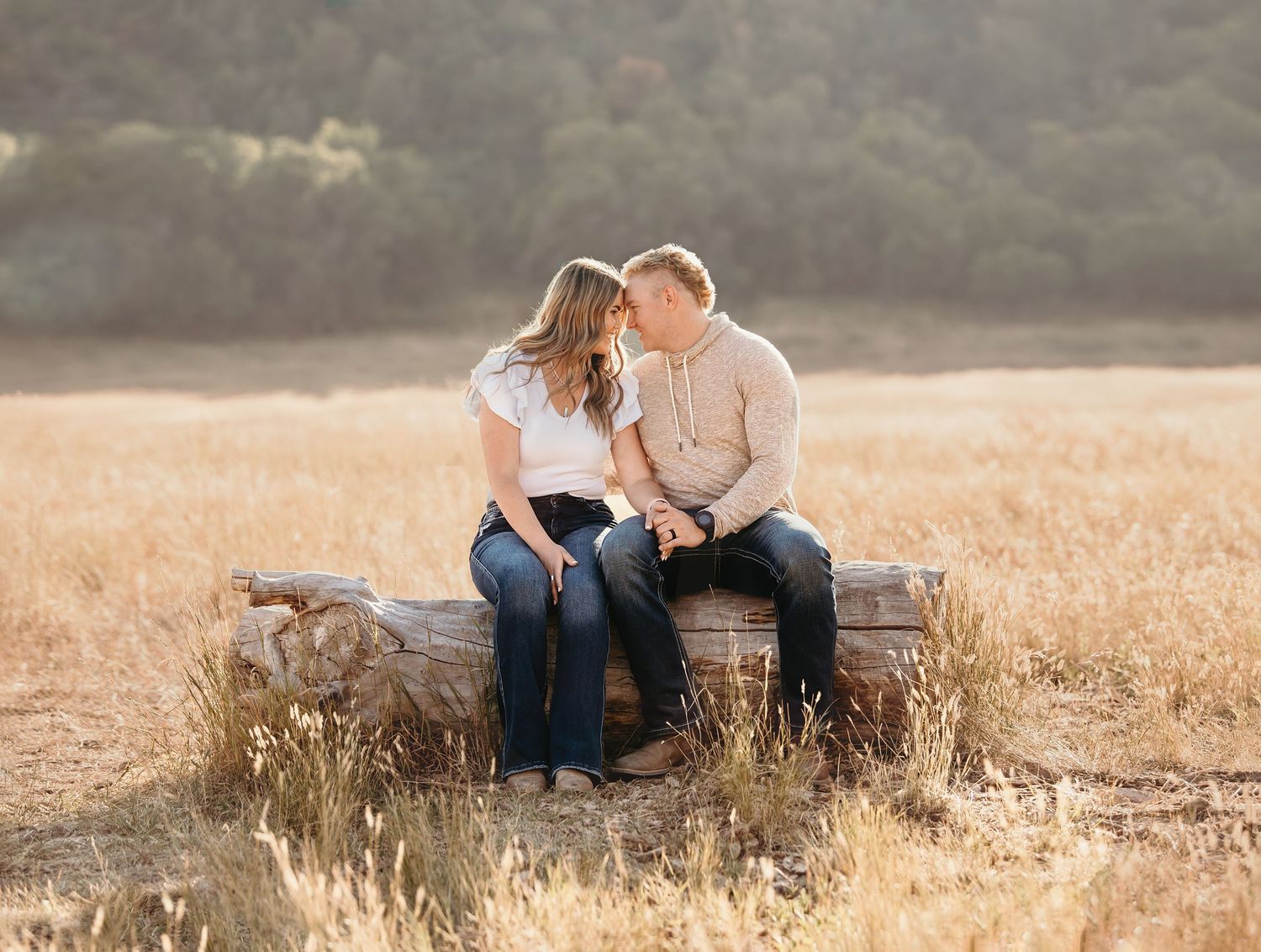 Couple sitting close on a log in a golden field, sharing a romantic moment with rolling hills in the background.
