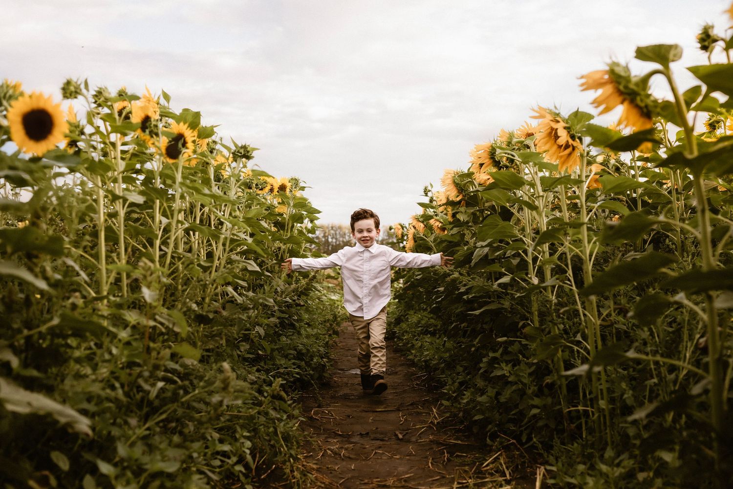 Candid family moments outdoor mini session, Sunflower mini session family photography Edmonton, sunflower family mini session YEG