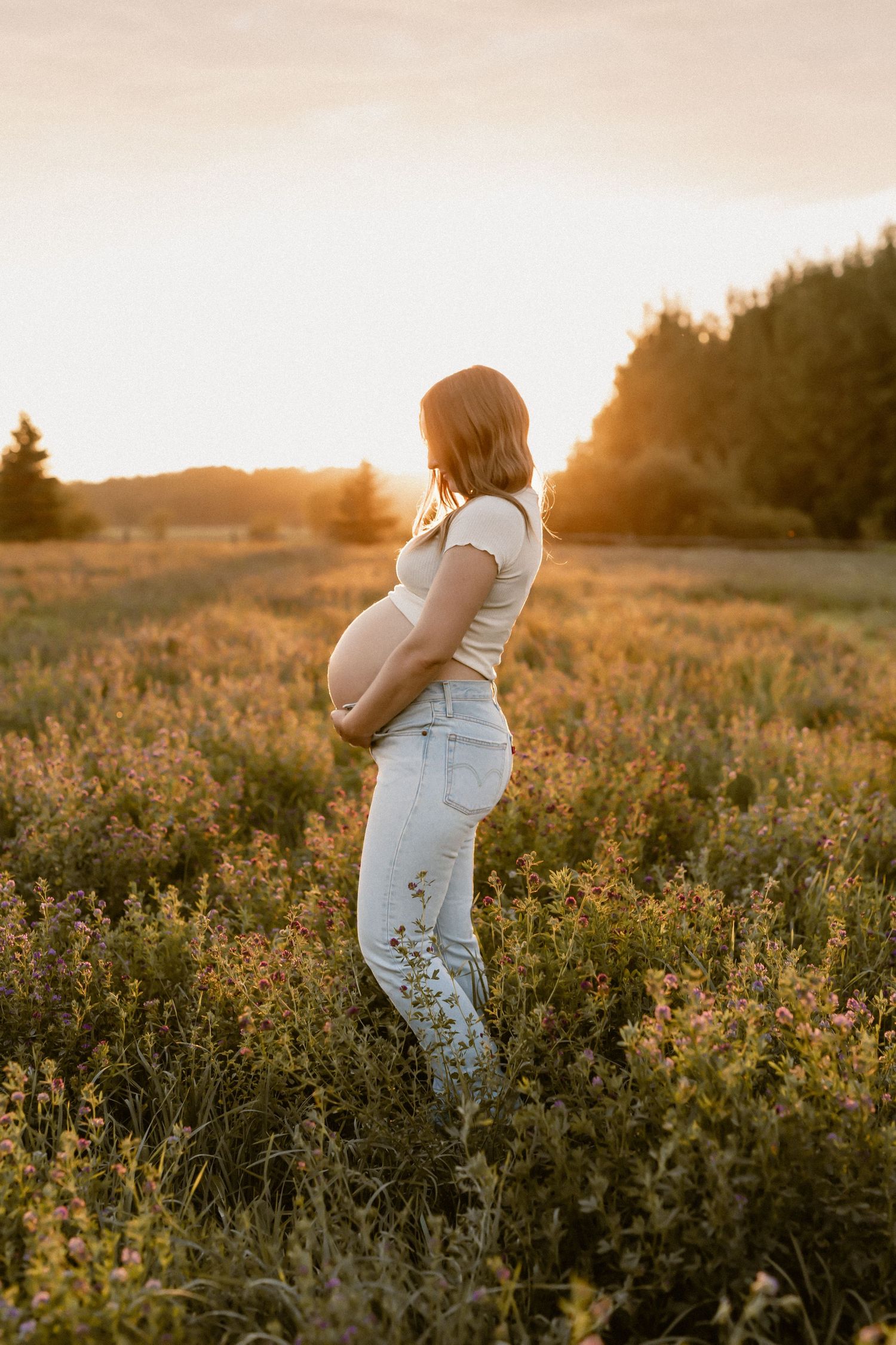 maternity photographers edmonton.  Edmonton maternity photographers. Maternity photos in field
