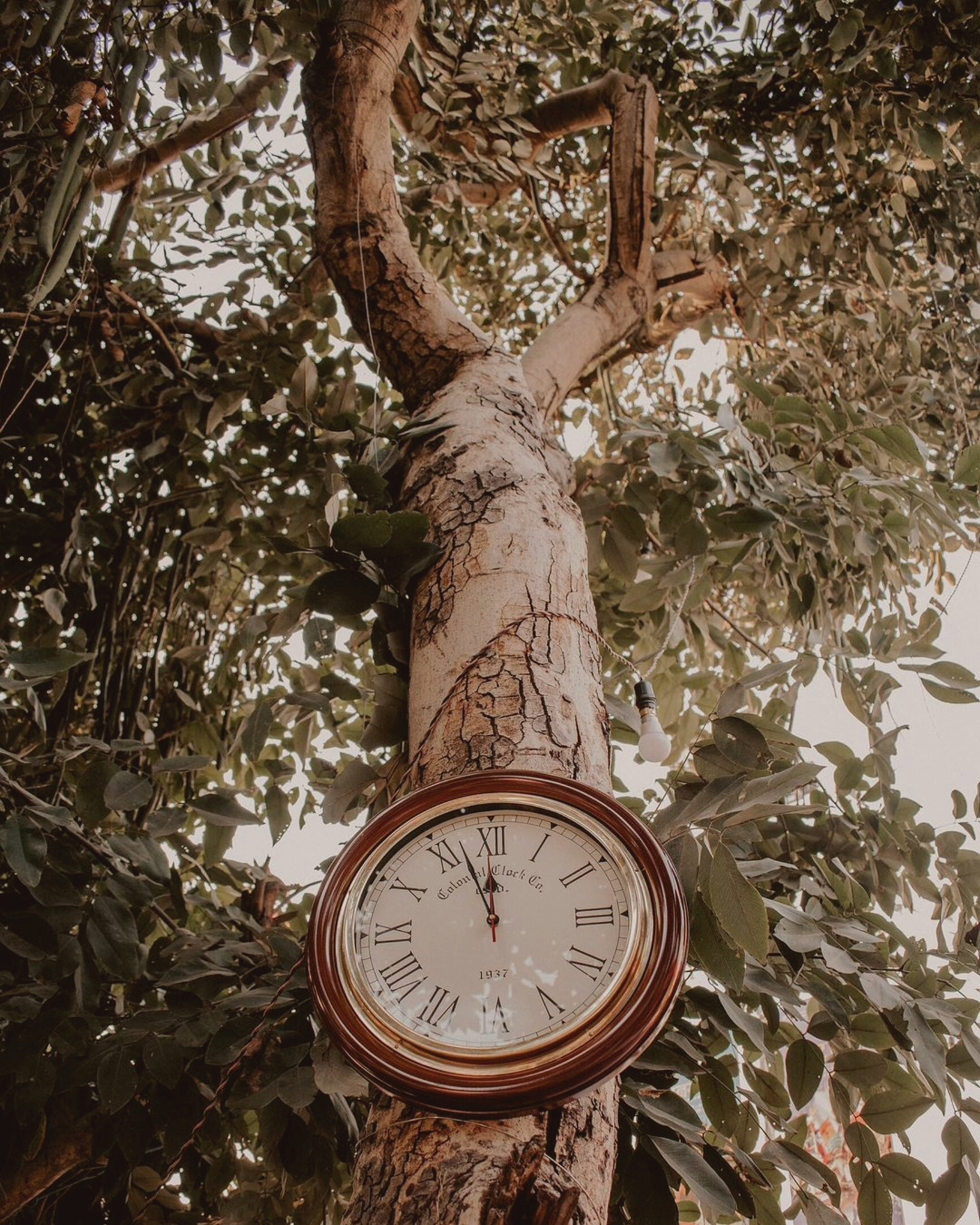reloj marcando el tiempo en una tarde calida y de ensueño