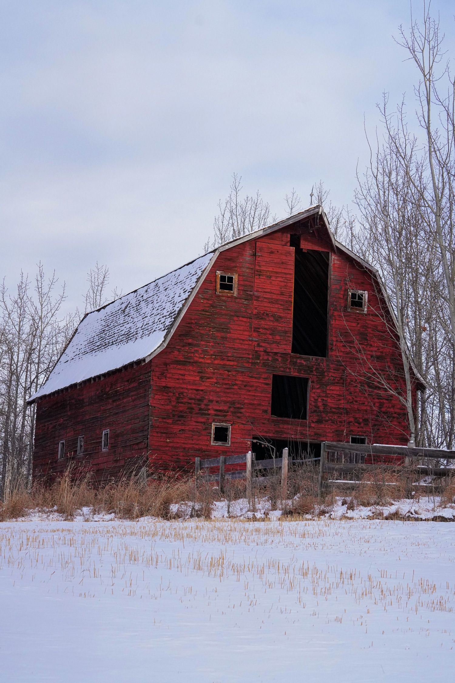 Landscape Photographer