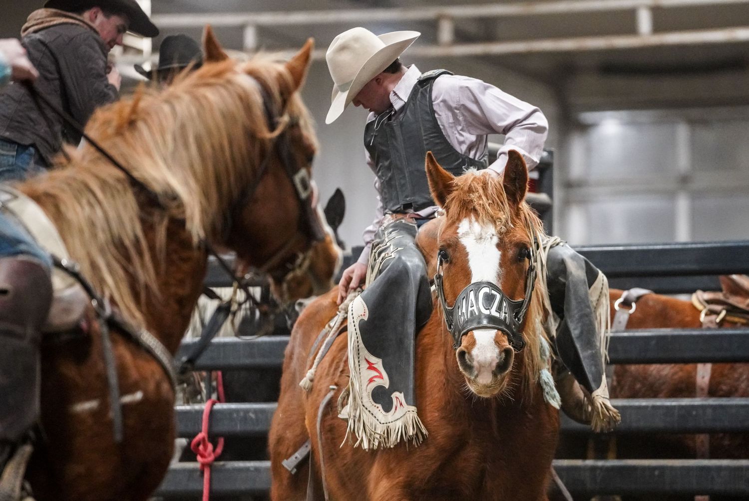 Olds College Rodeo