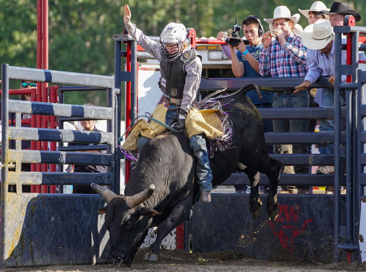Bulls at the Buck Off