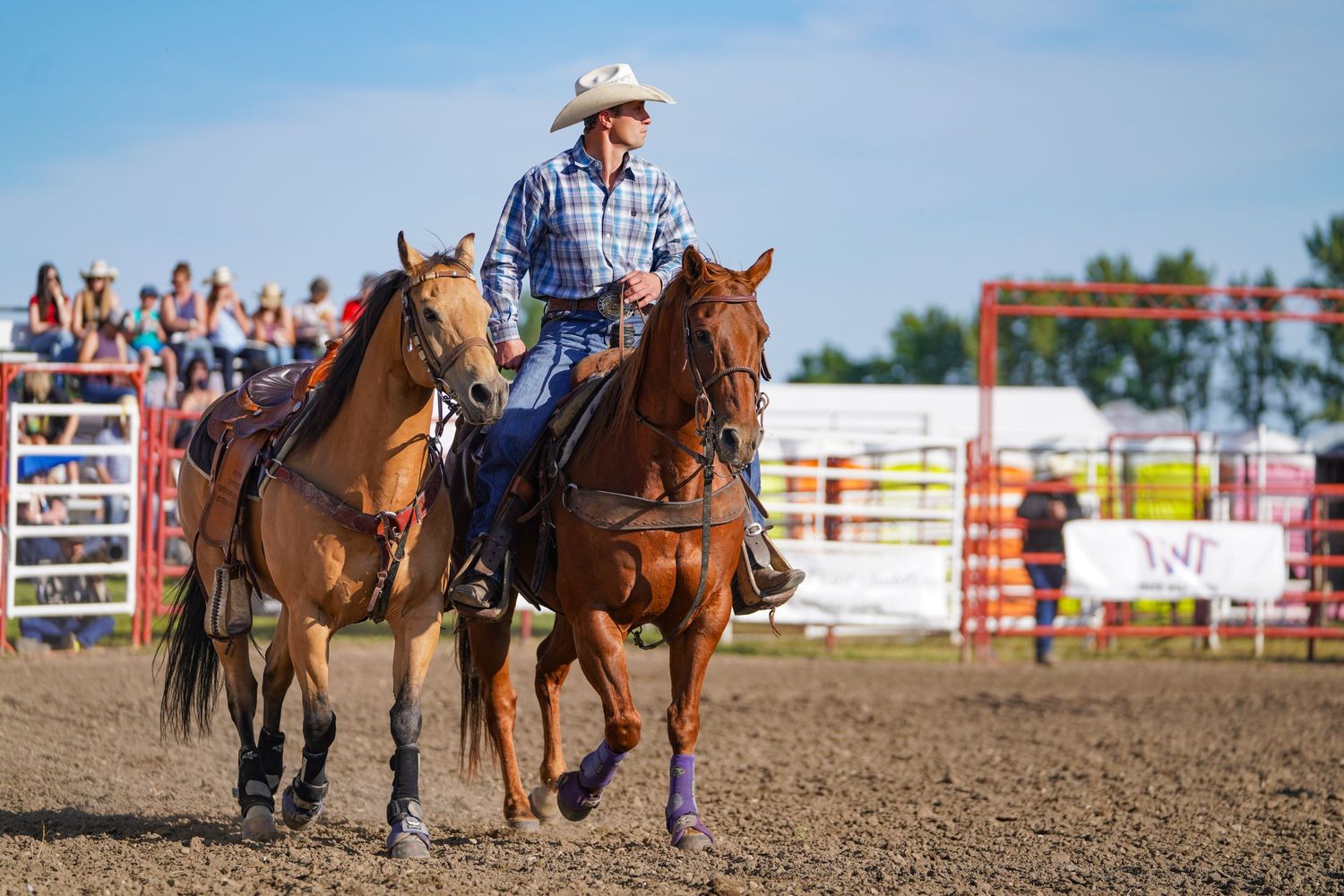 Steer Wrestling Photographer
