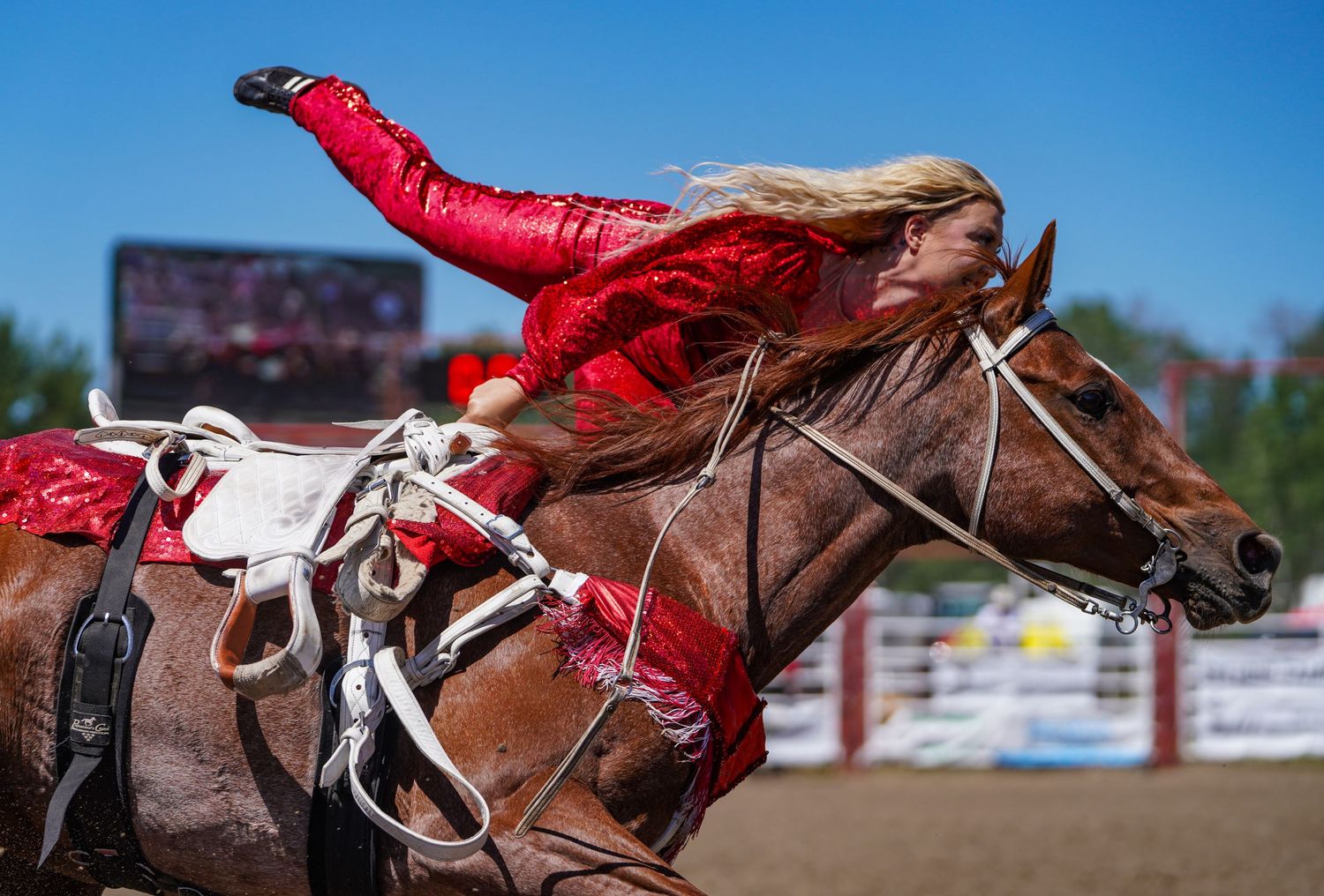 Benalto Pro Rodeo