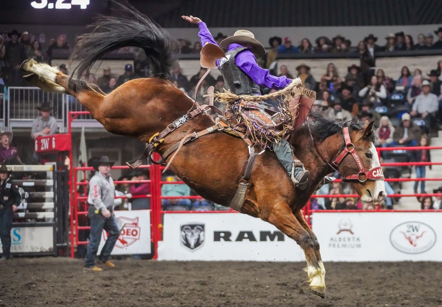 Alberta Rodeo Photographer