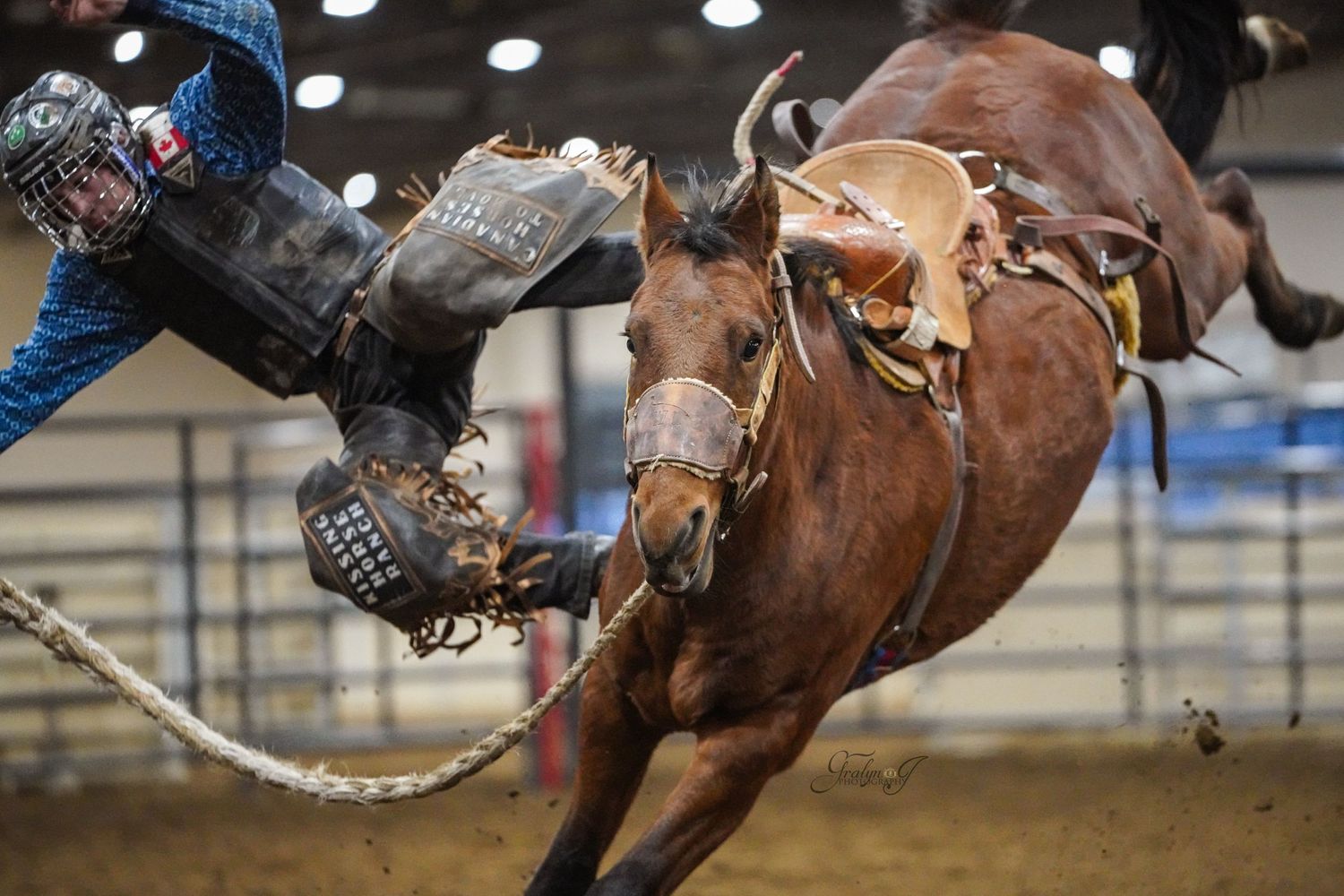 Rodeo Photographer