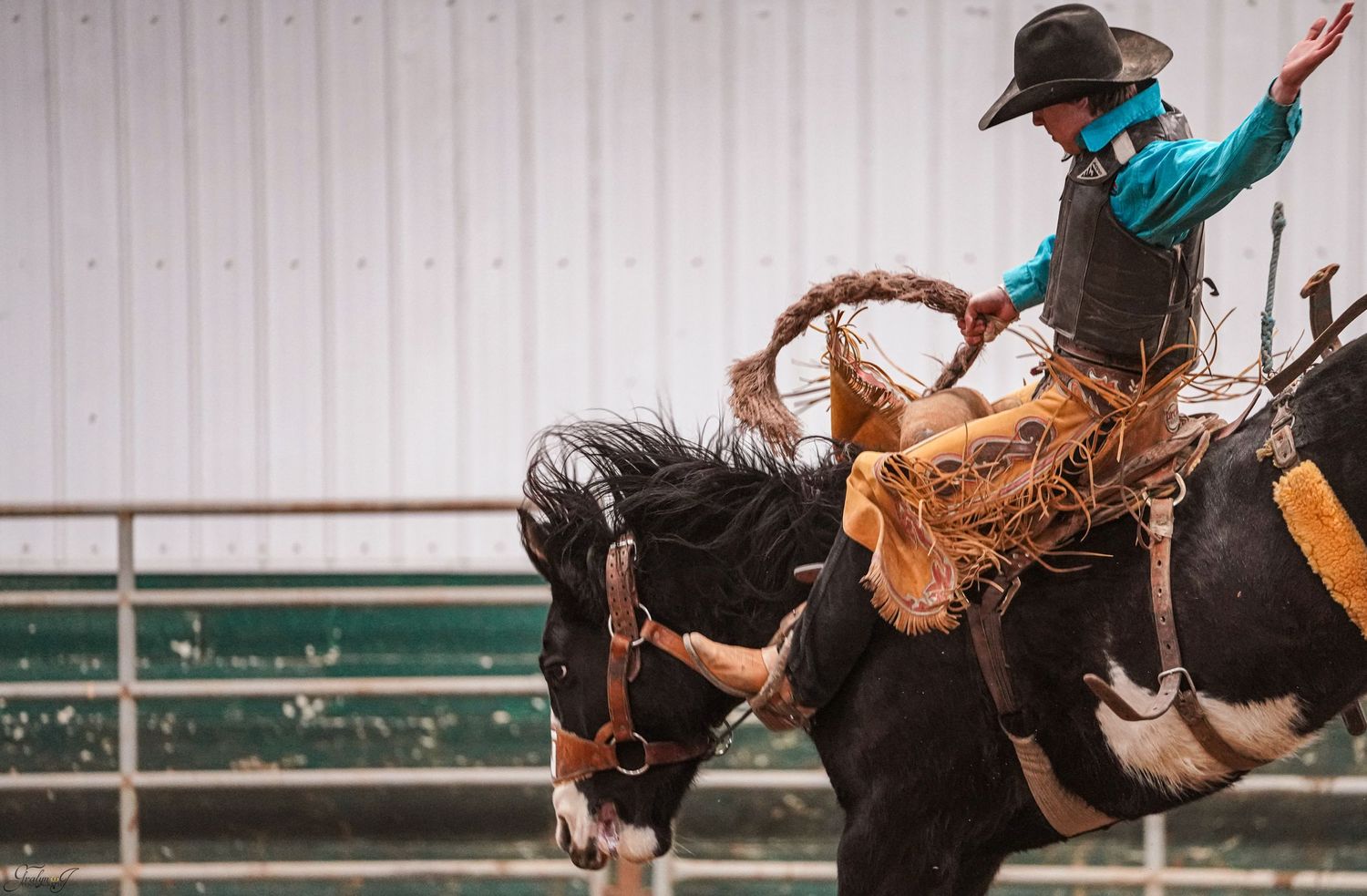 Olds College Rodeo