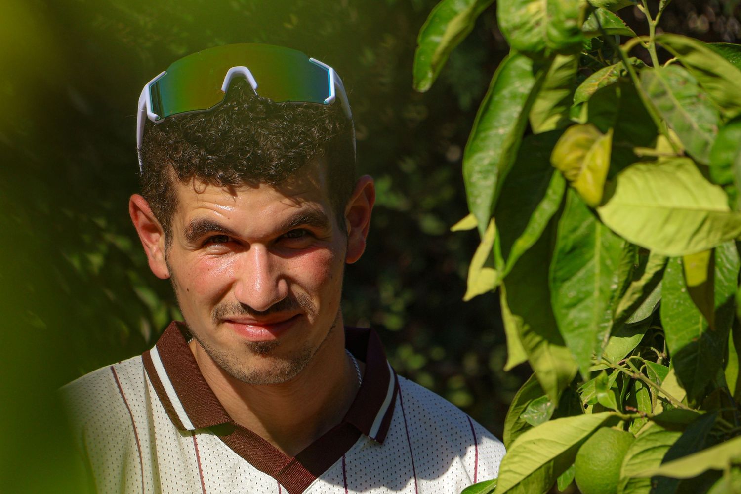 פורטרט מבעד לעלים