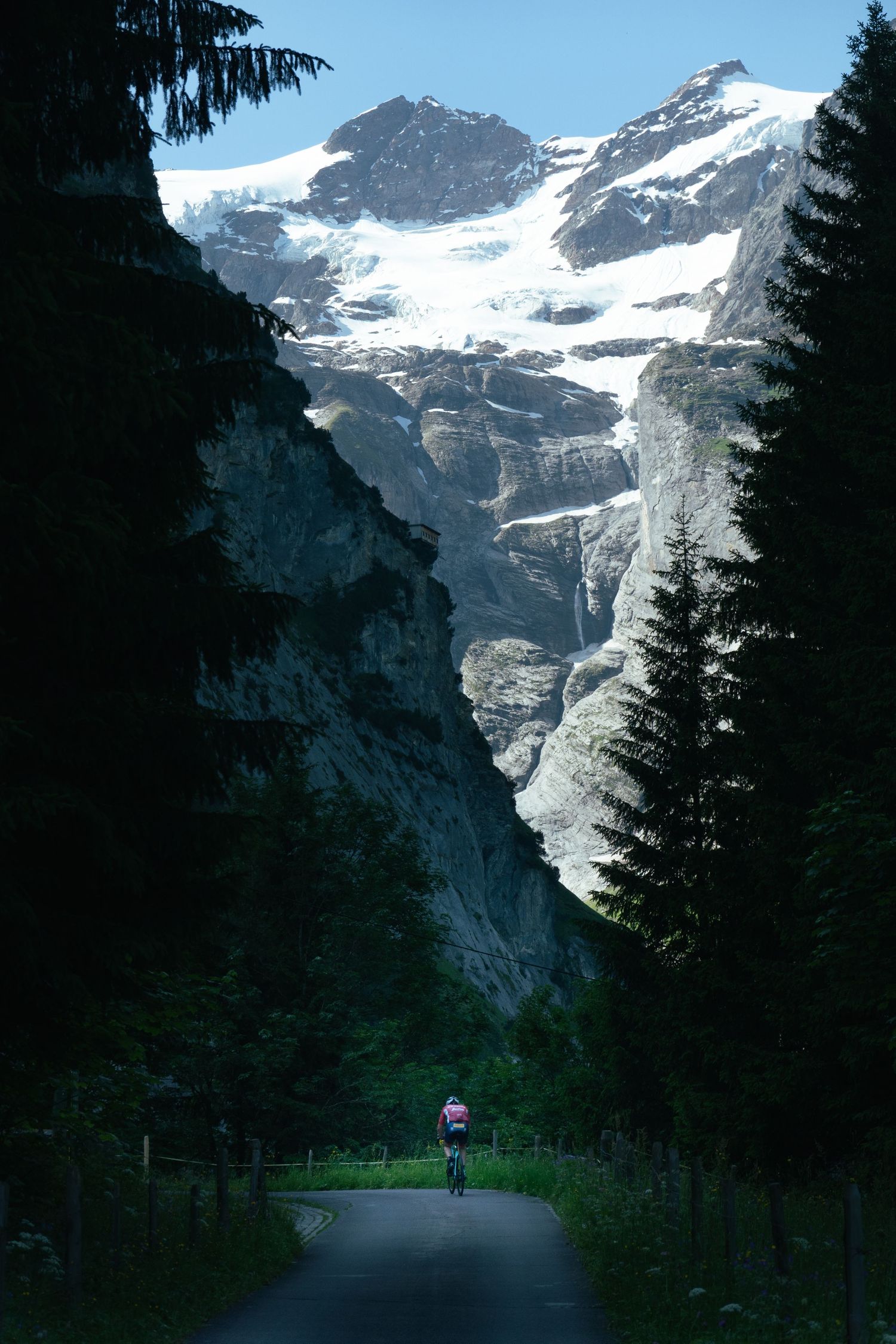 Snow-capped mountain peaks tower over a winding road through a forested valley. A cyclist rides towards the mountain, through the forest.