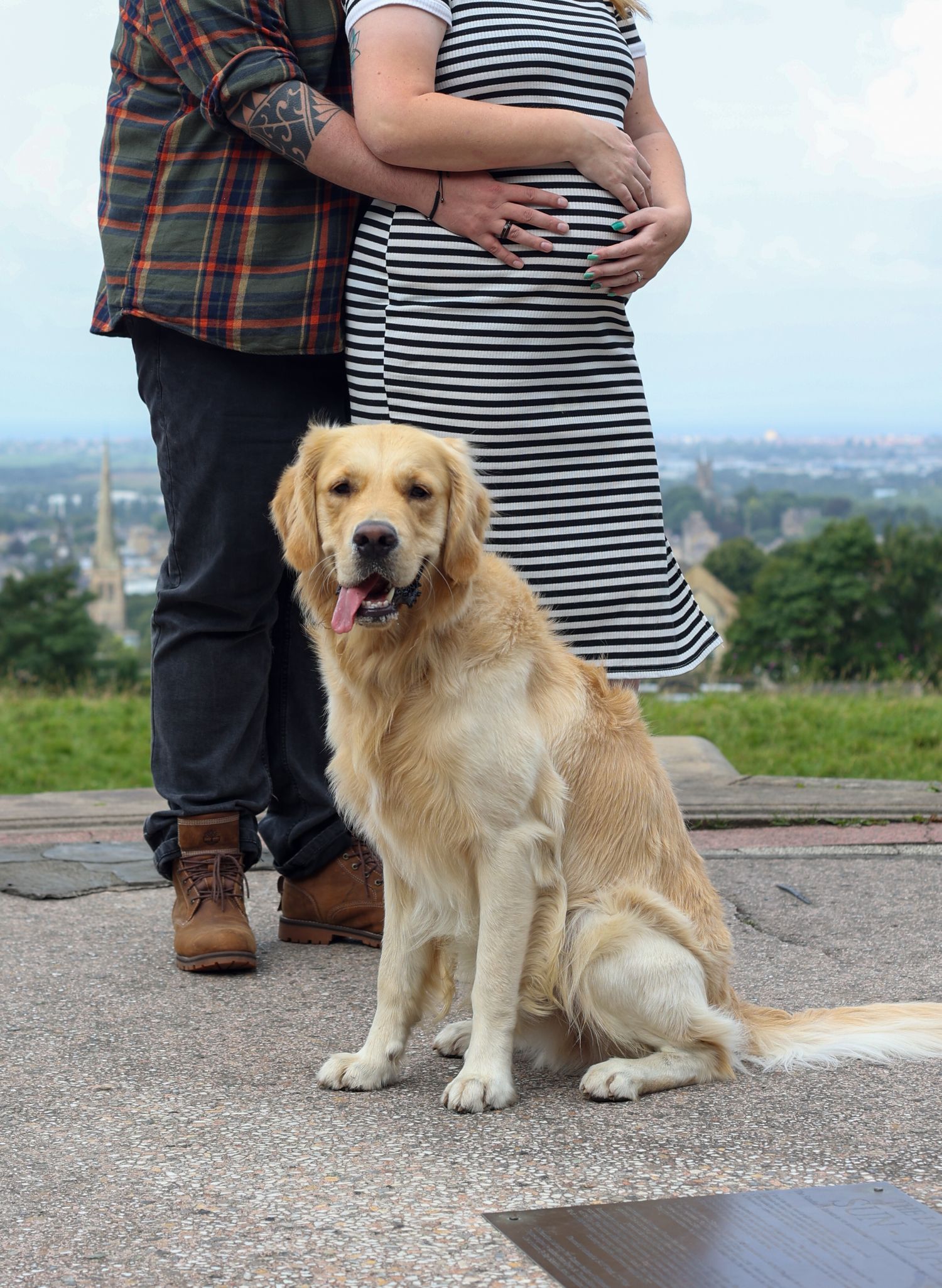 Golden retriever sitting with couple during outdoor maternity photoshoot with city view.