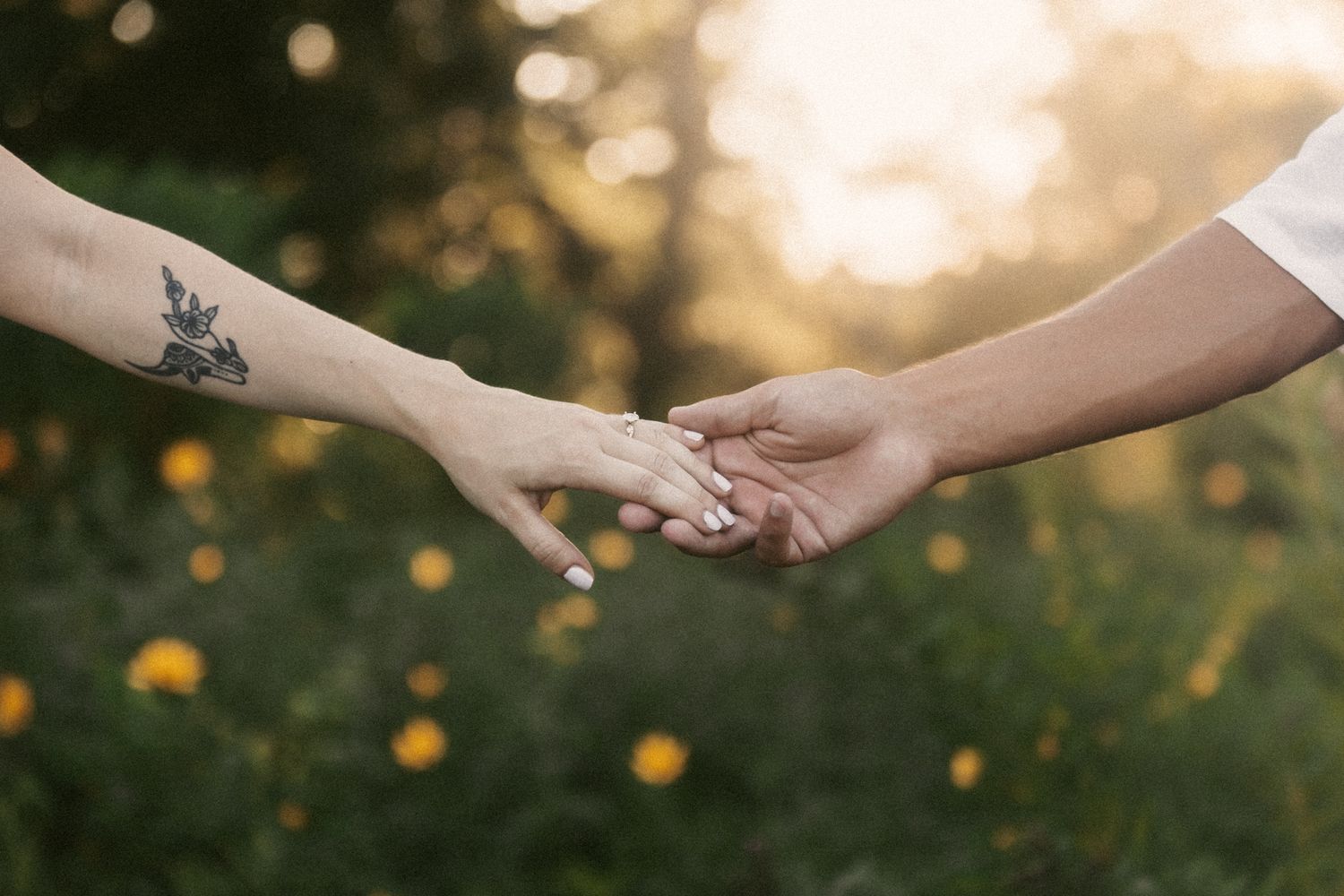 Detail shots of hands tenderly touching and holding each other in natural outdoor lighting.