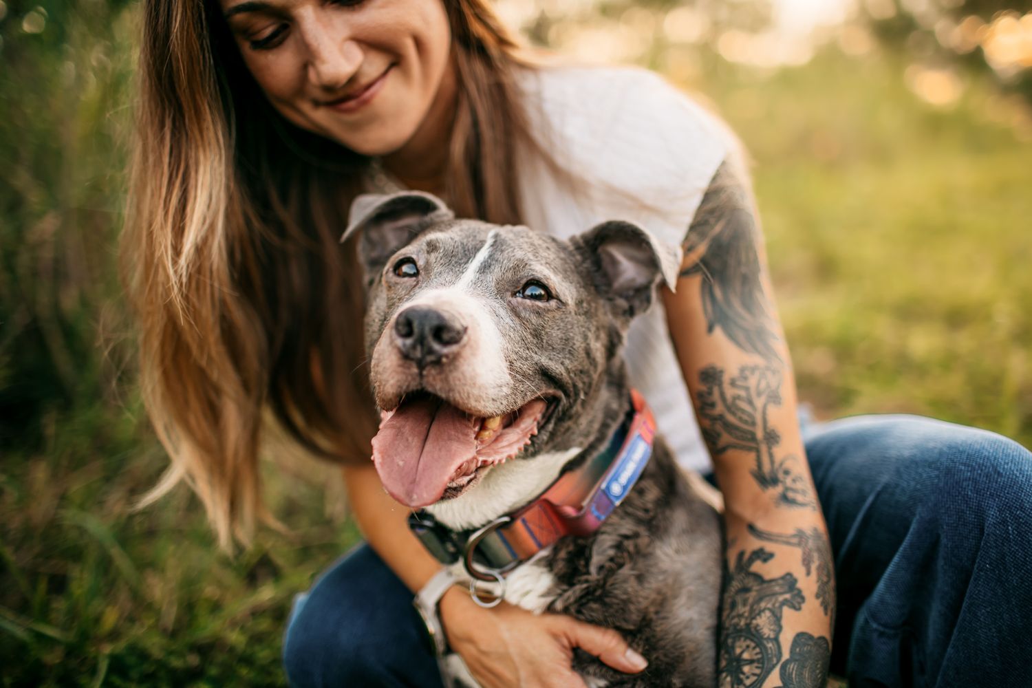 Close-up of smiling dog being hugged by person with tattoos.