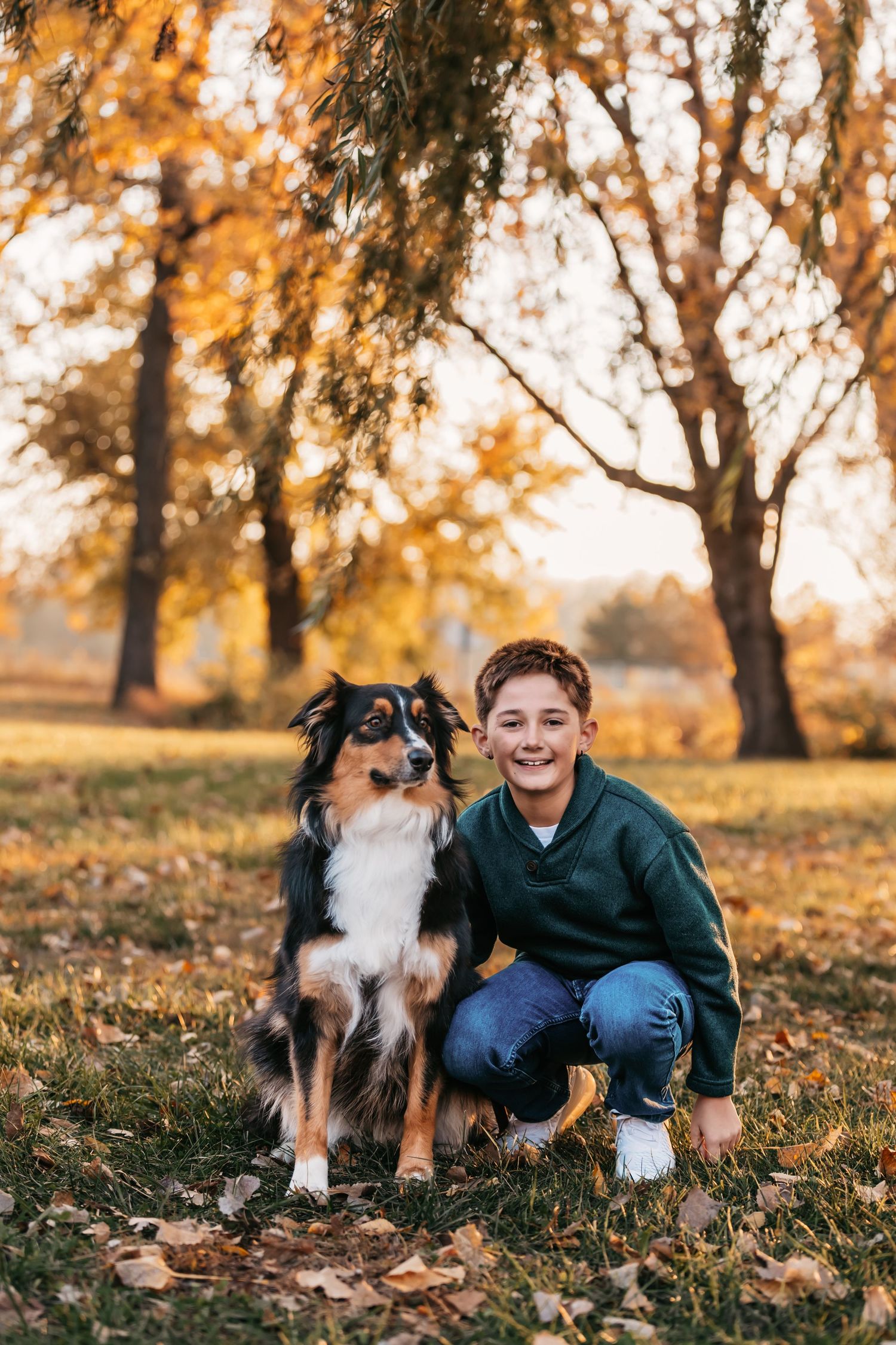 A heartwarming autumn scene with two Australian Shepherds and someone sitting on fallen leaves in a park.
