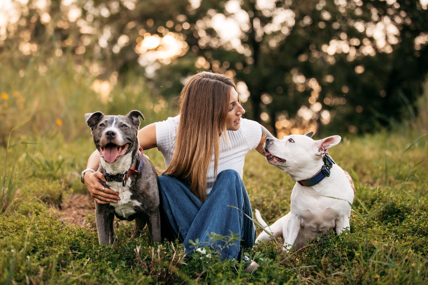 Person sitting in grass with two happy dogs during golden hour photoshoot.
