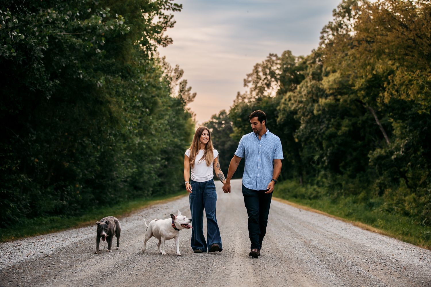 Couple walking two dogs down a tree-lined gravel road at sunset.