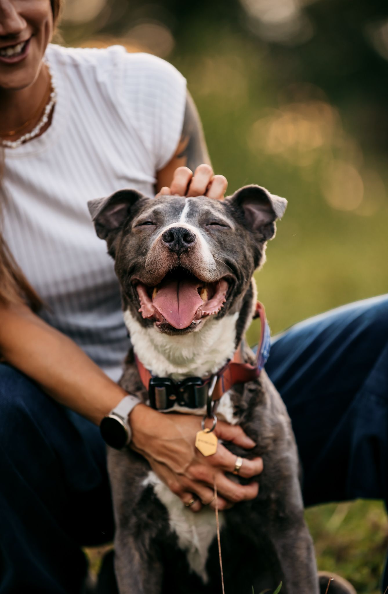 Joyful grey pit bull dog smiling while being hugged outdoors.