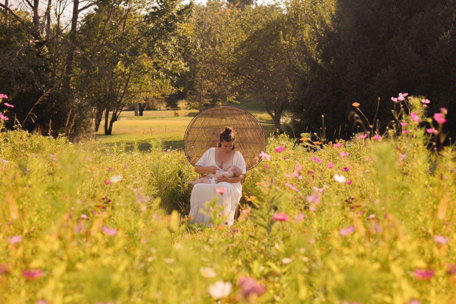 A peaceful nursing session photographed from afar in a sunlit meadow filled with wildflowers.