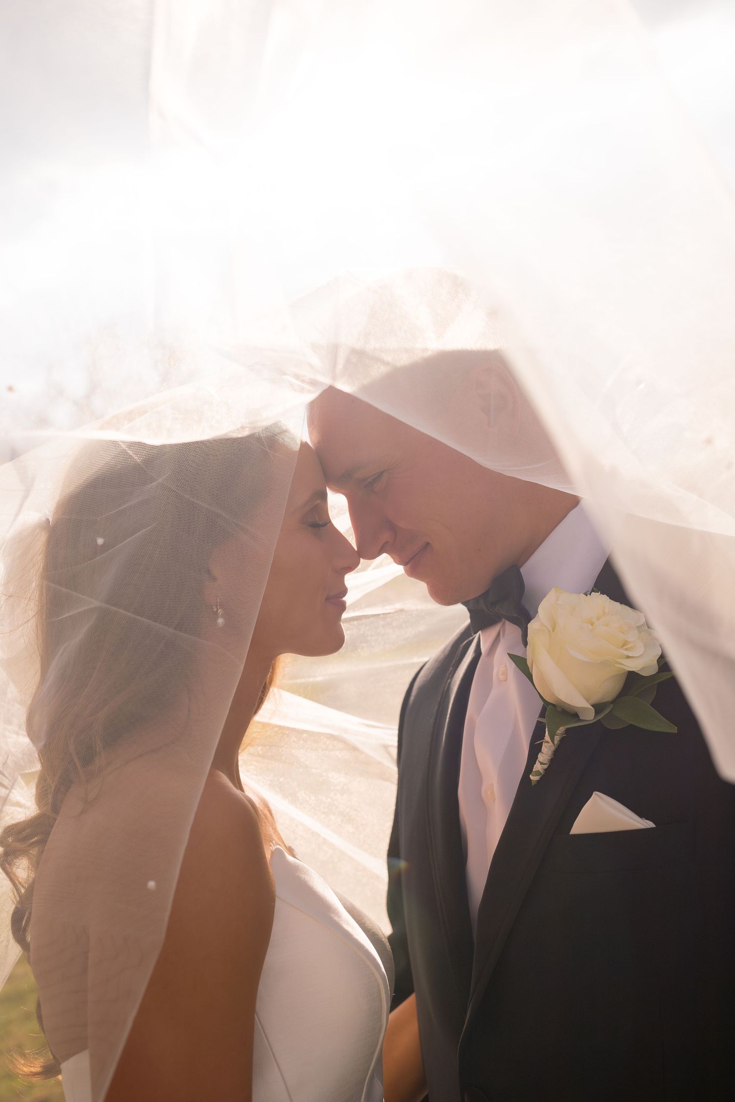 Romantic wedding couple sharing intimate moment under flowing white veil.
