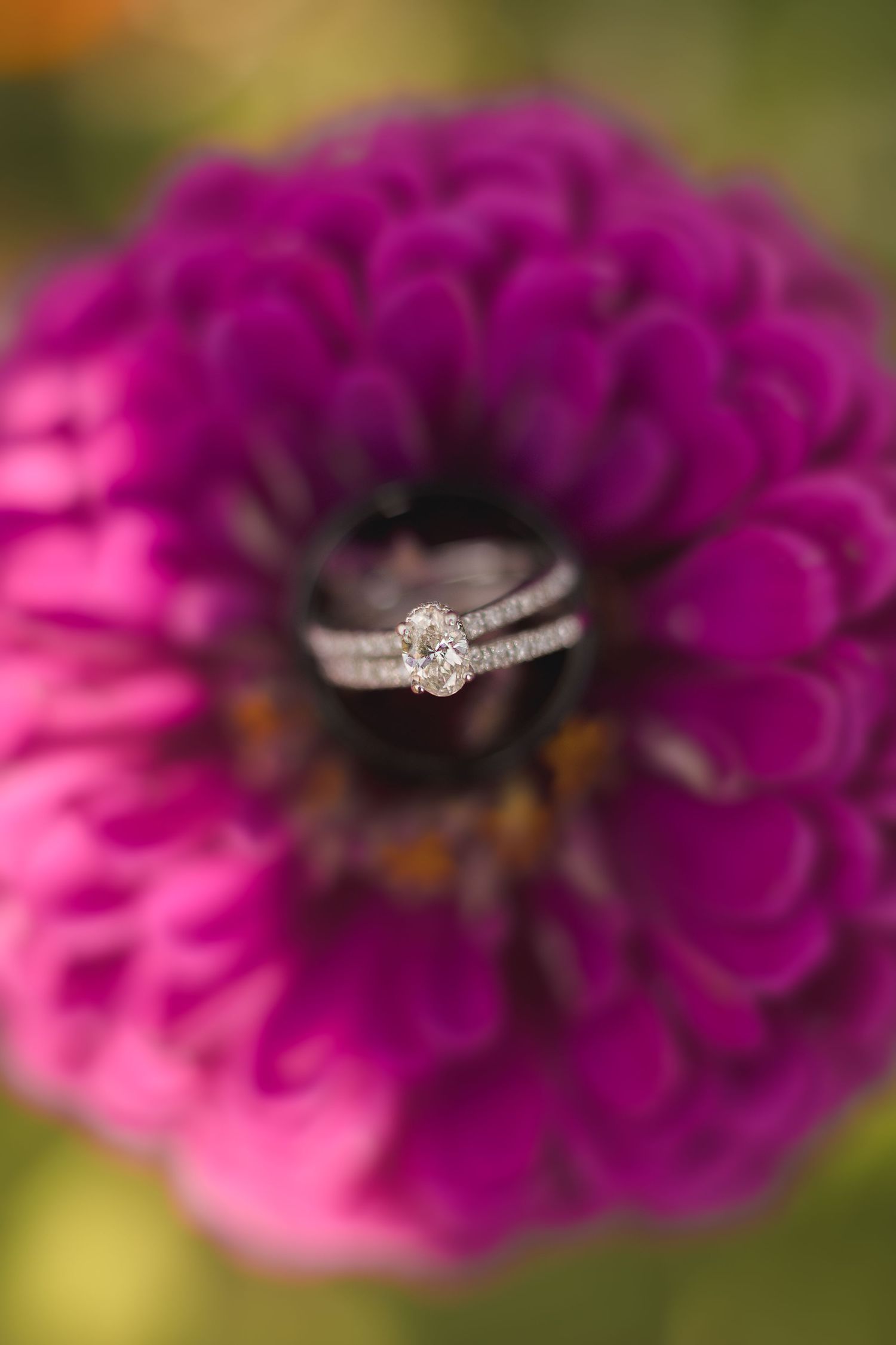 Diamond engagement ring artistically photographed in center of vibrant purple dahlia flower.