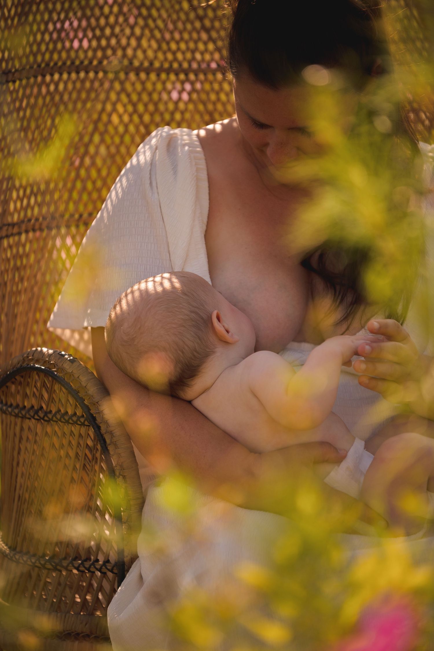 Peaceful breastfeeding moment captured through golden sunlight and foliage with a woven chair backdrop.