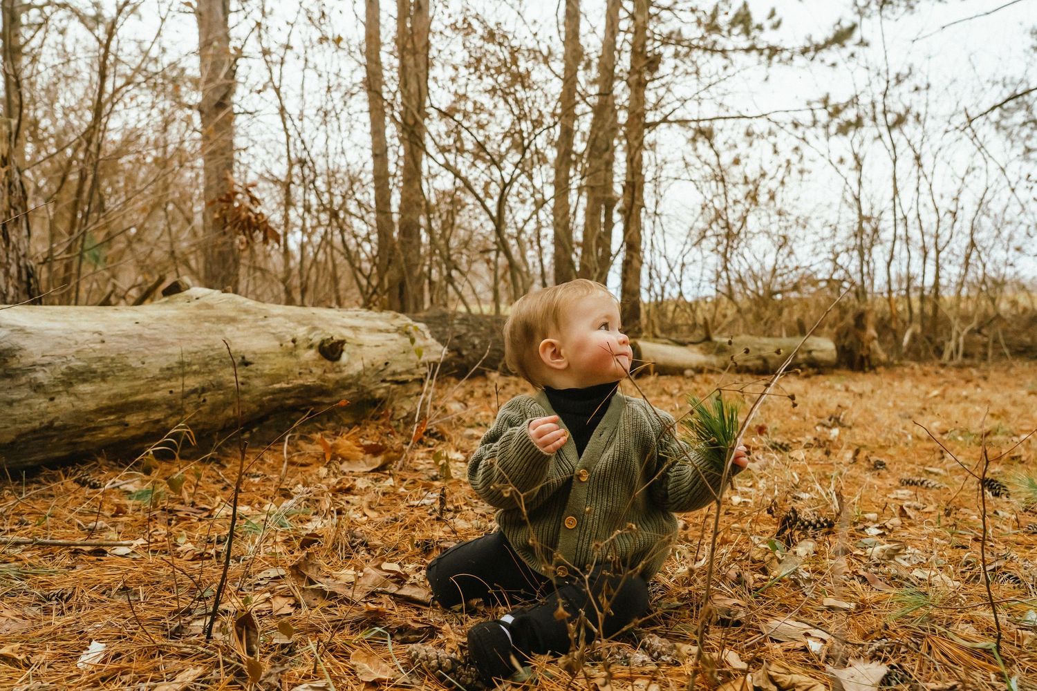 A person in camouflage clothing crawls through autumn leaves in the woods during a hunting or training exercise.