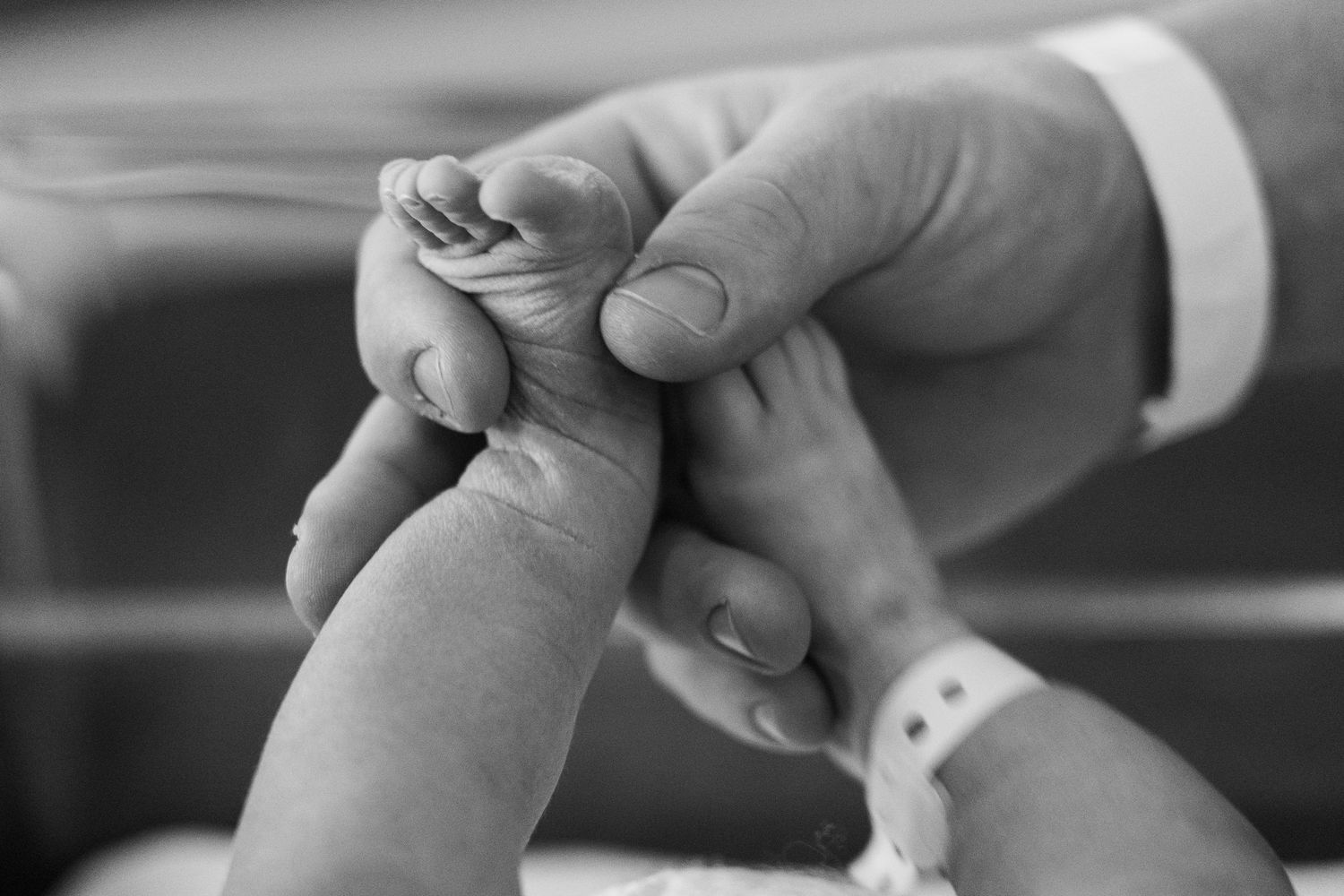 A close-up black and white photo of adult hands gently holding a baby's tiny hand.