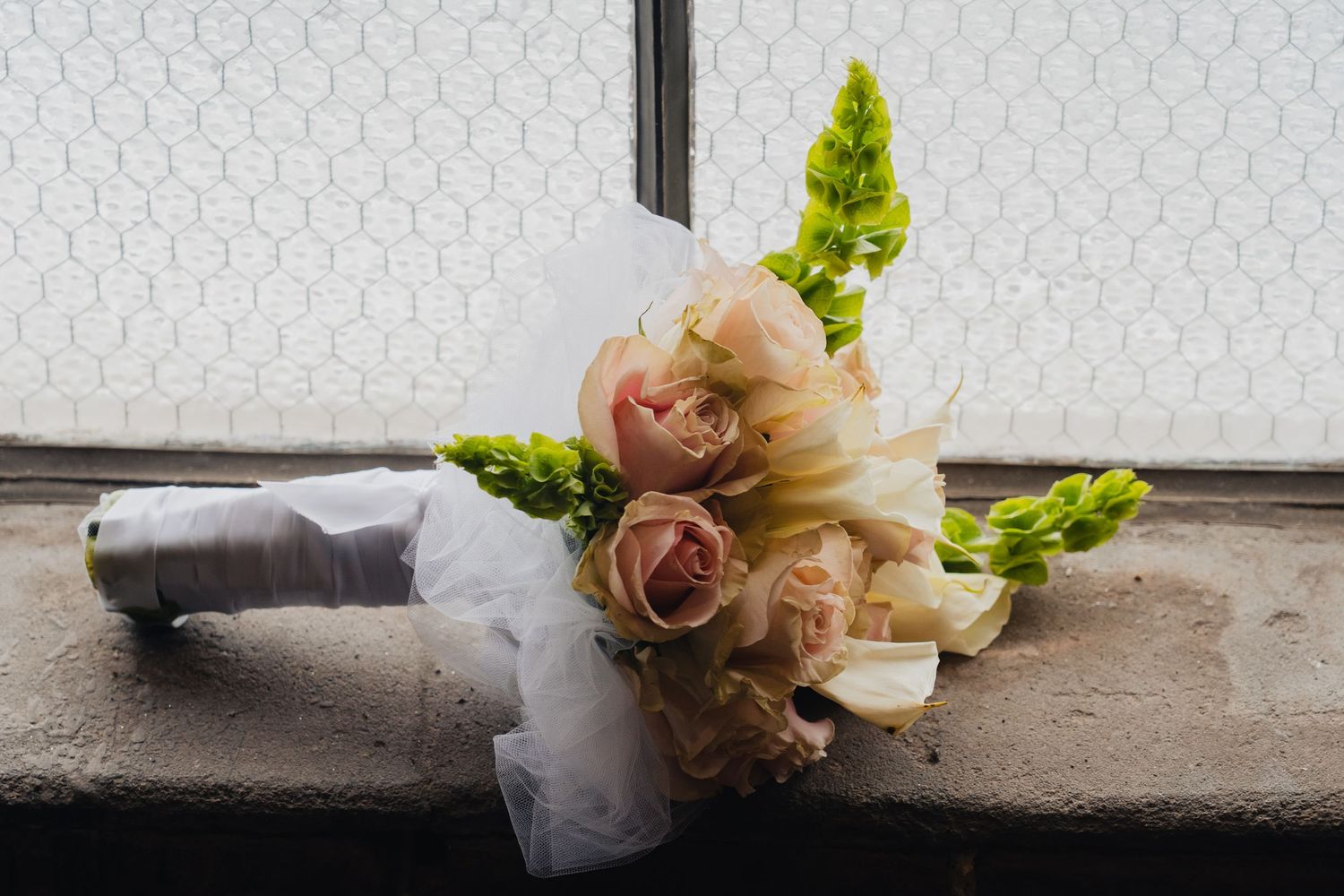 Delicate peach roses with green foliage arranged in a row against a textured gray background.