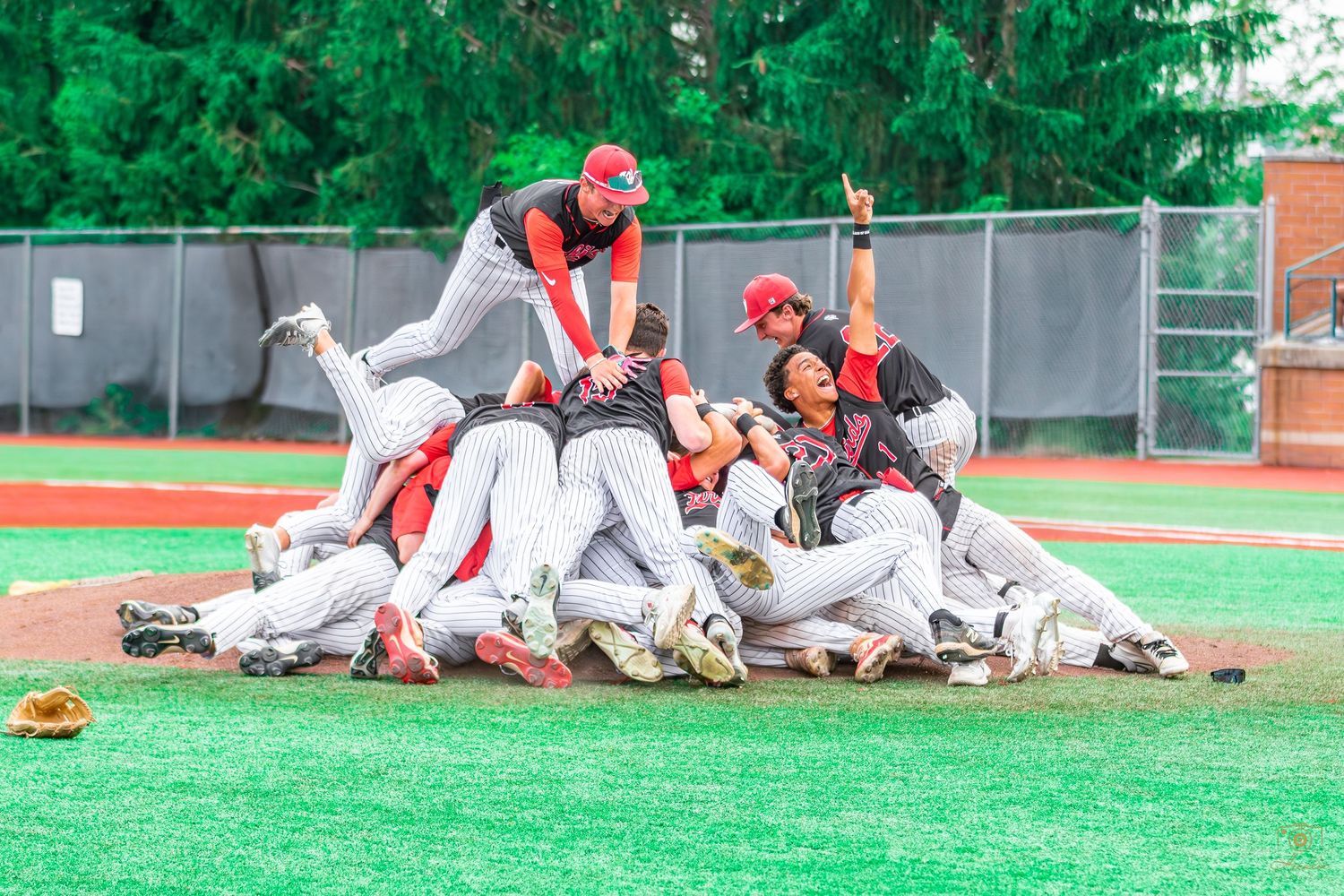 Baseball team celebrating after winning to go to state.