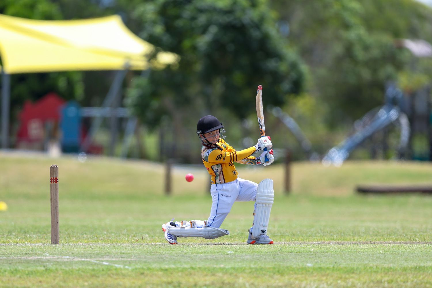 Cricket players on a sunny green field during a match.