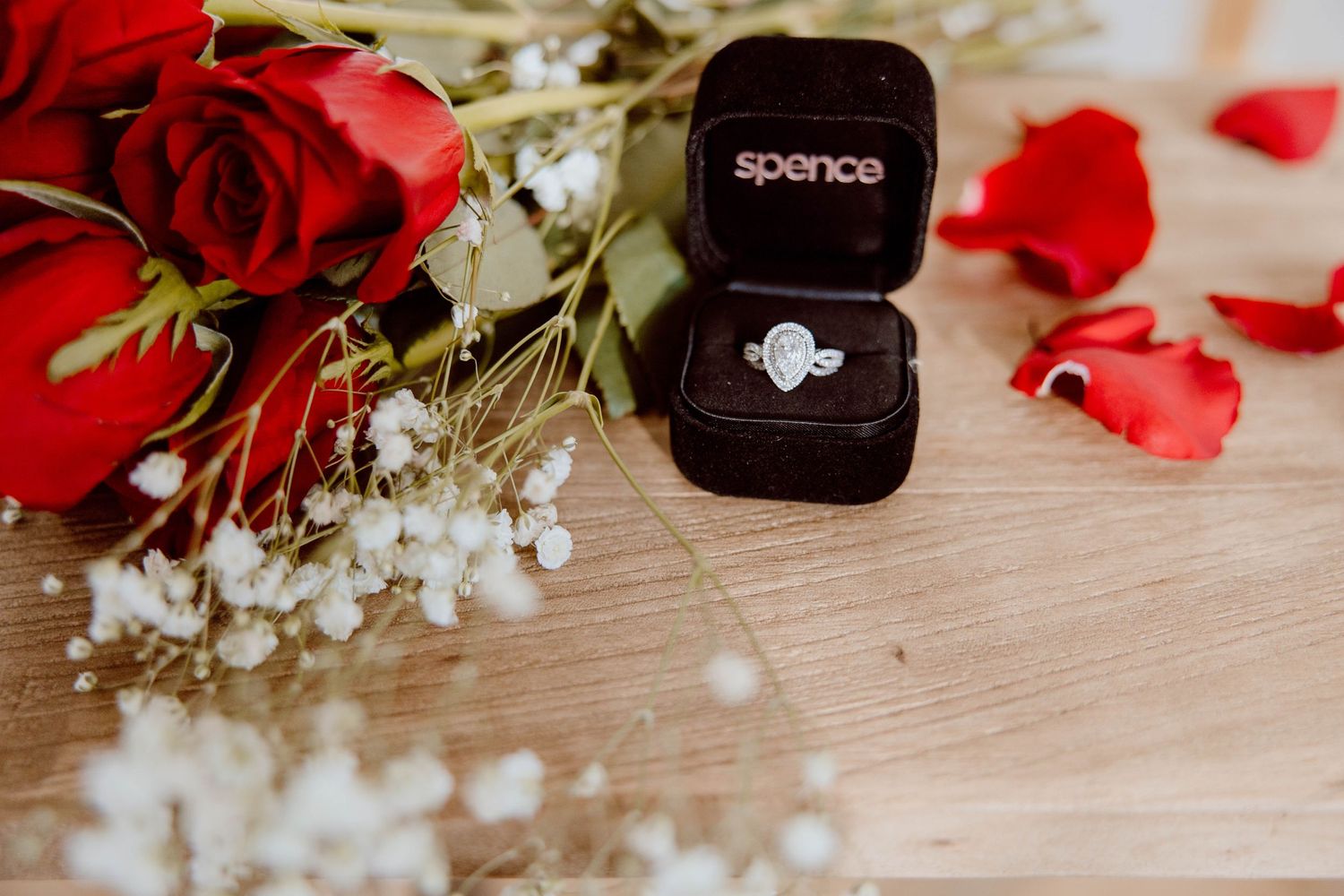 Edmonton proposal photography